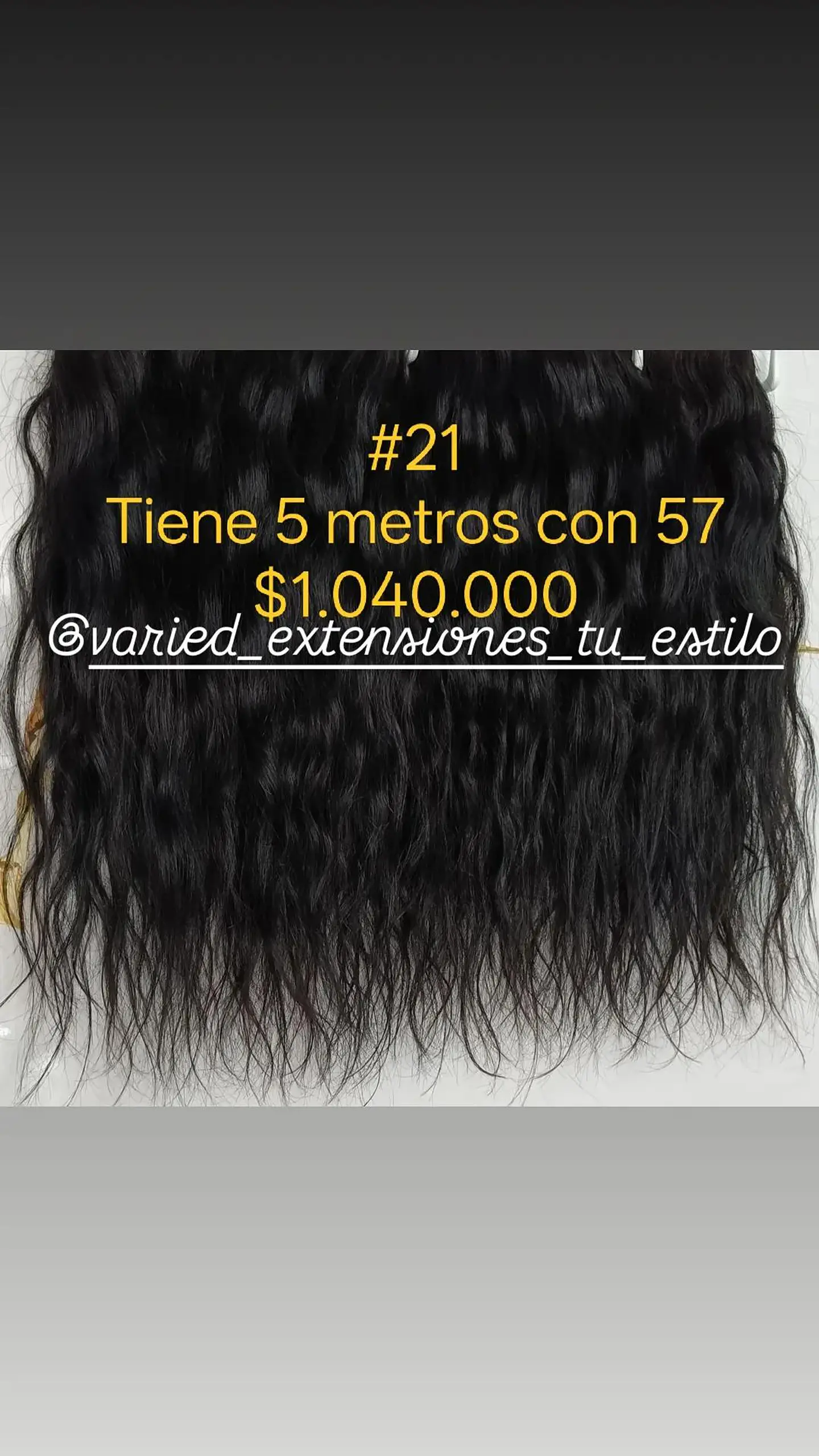 Extensión #21 1