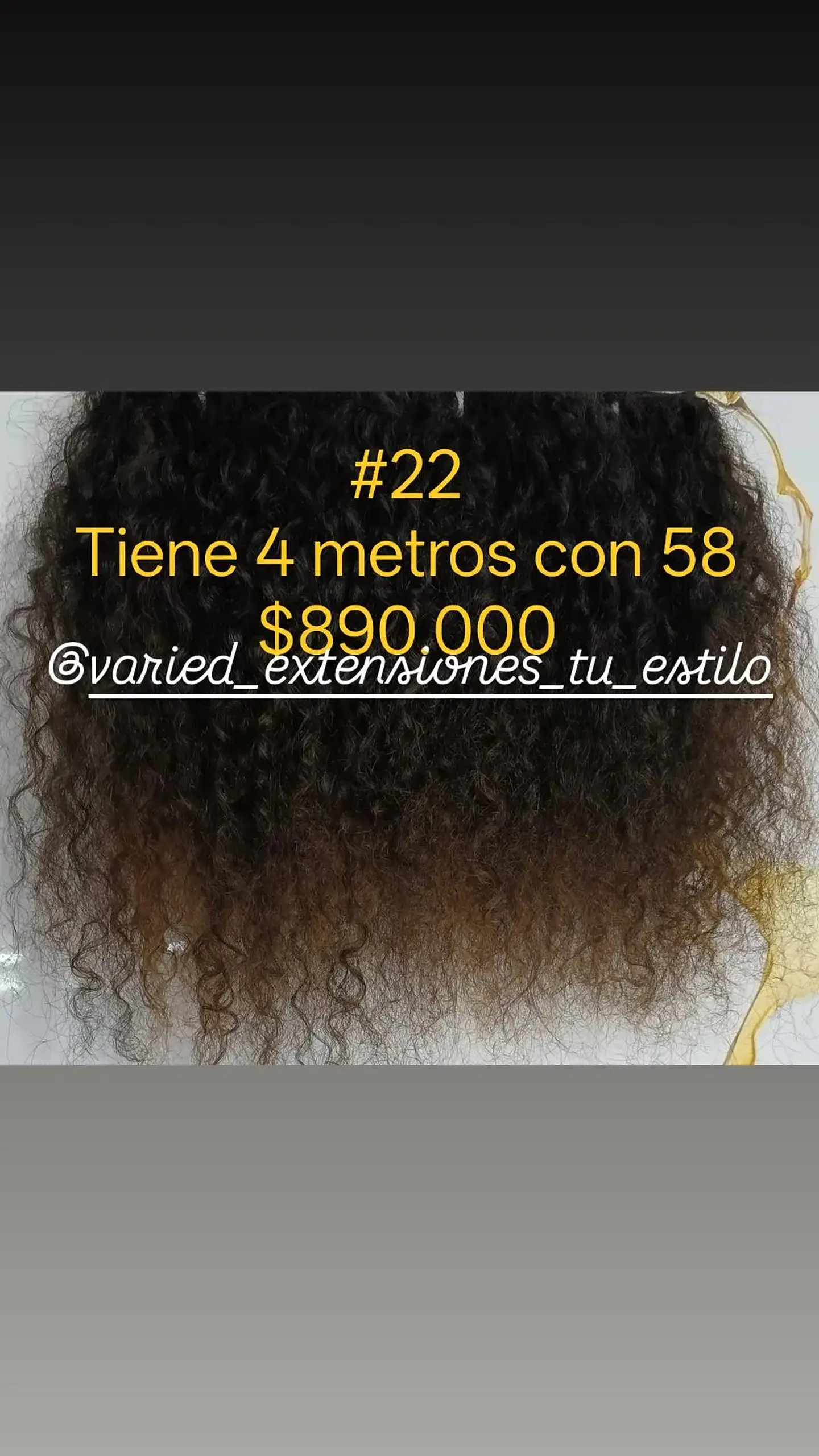 Extensión #22 1