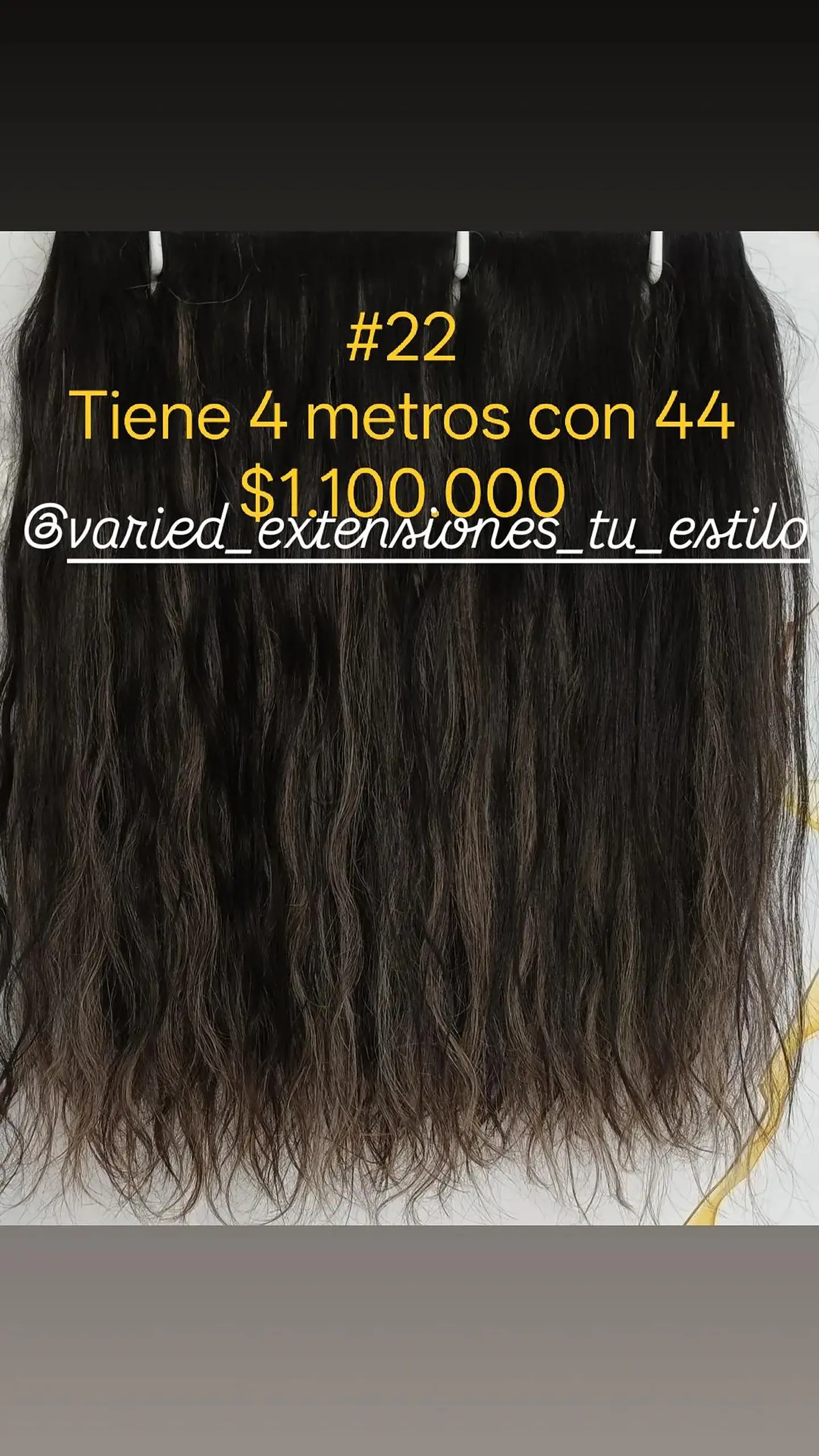 Extensión #22 1