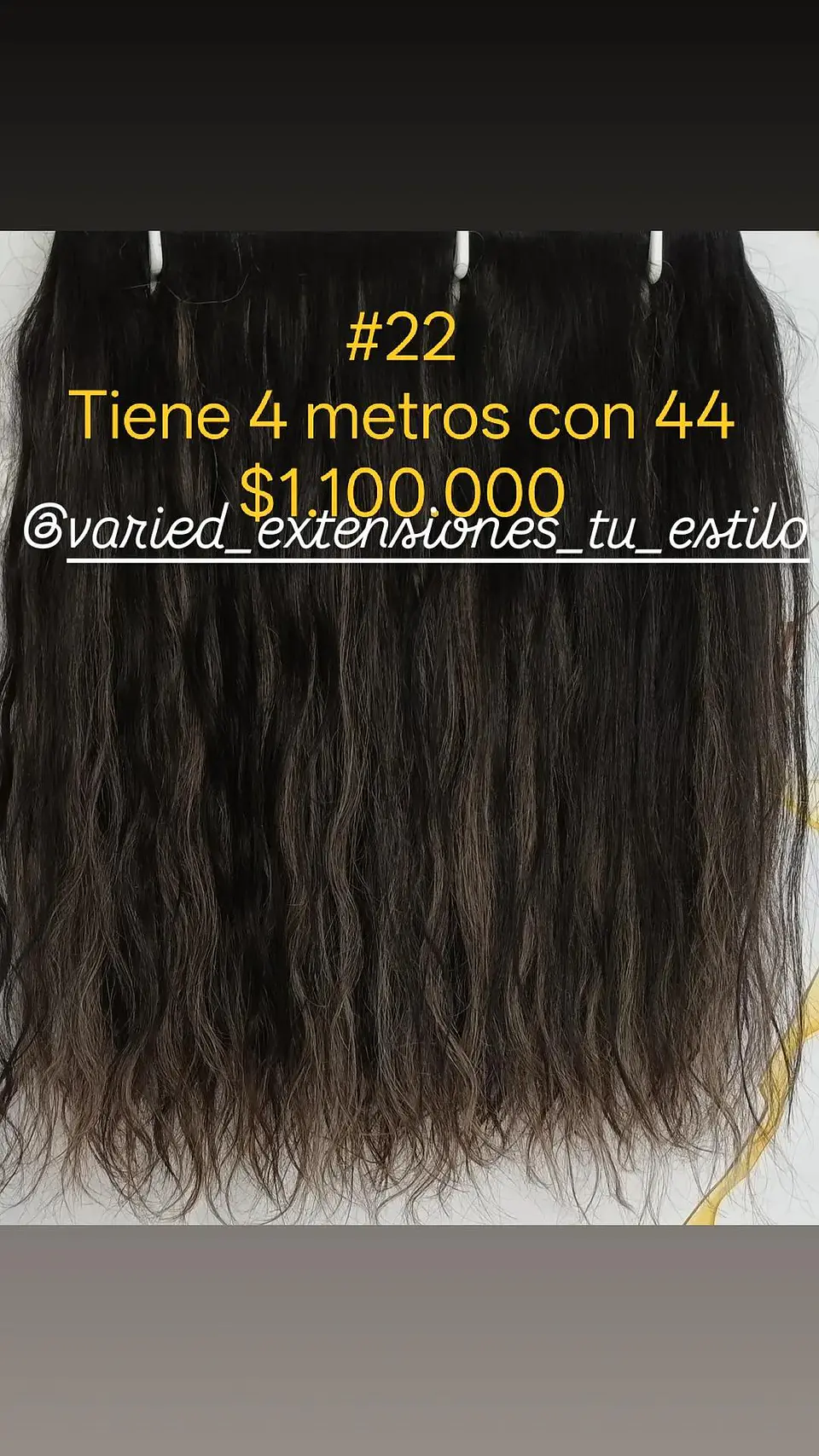 Extensión #22 1