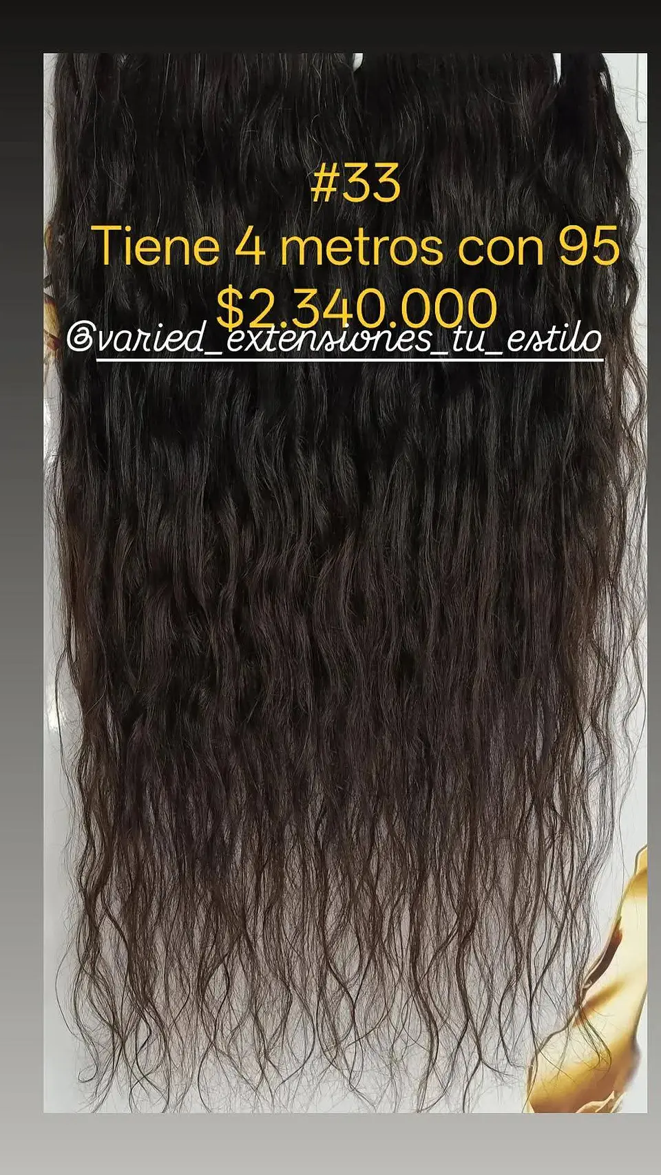 Extensión #33 1