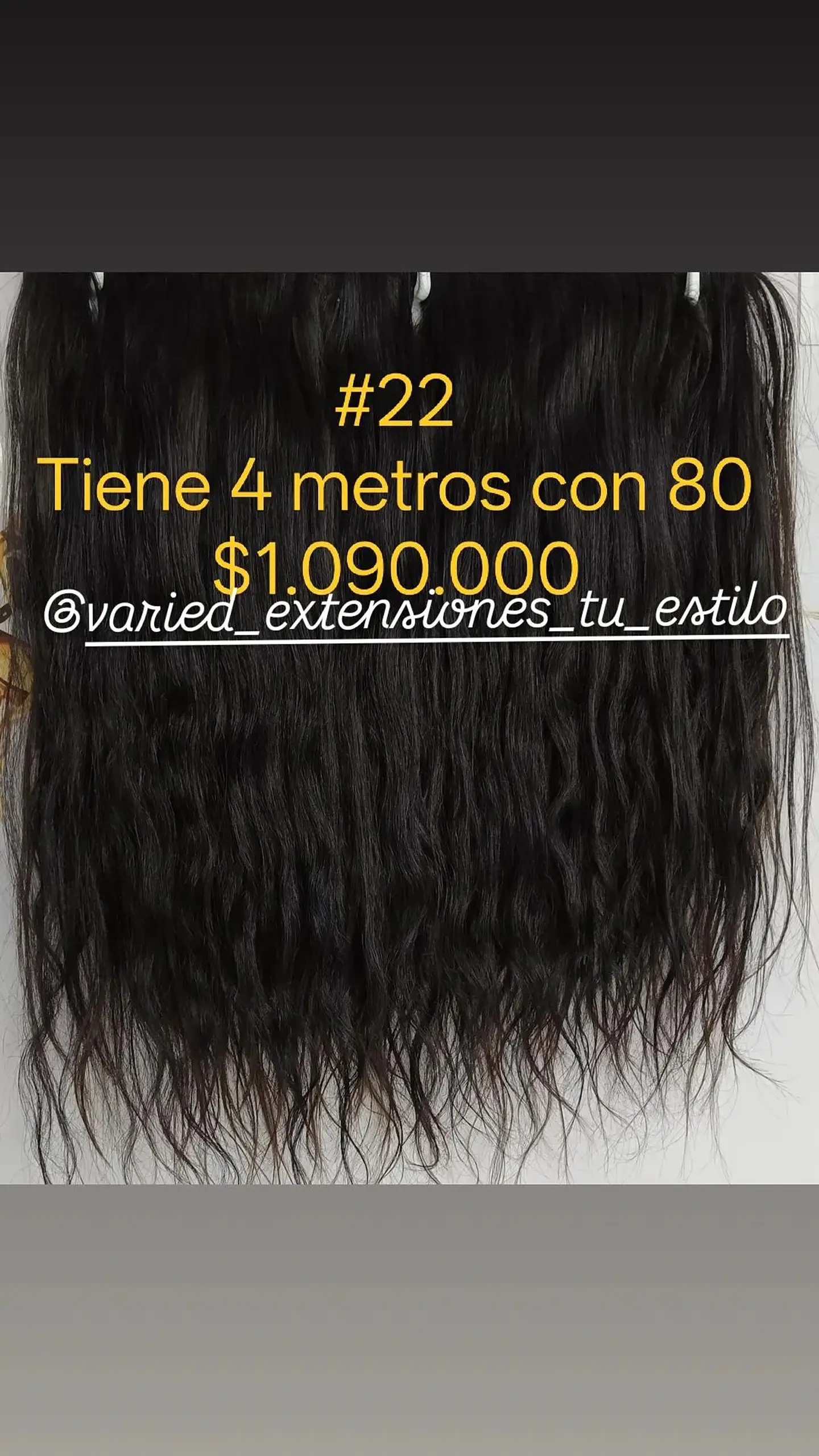 Extensión #22 1