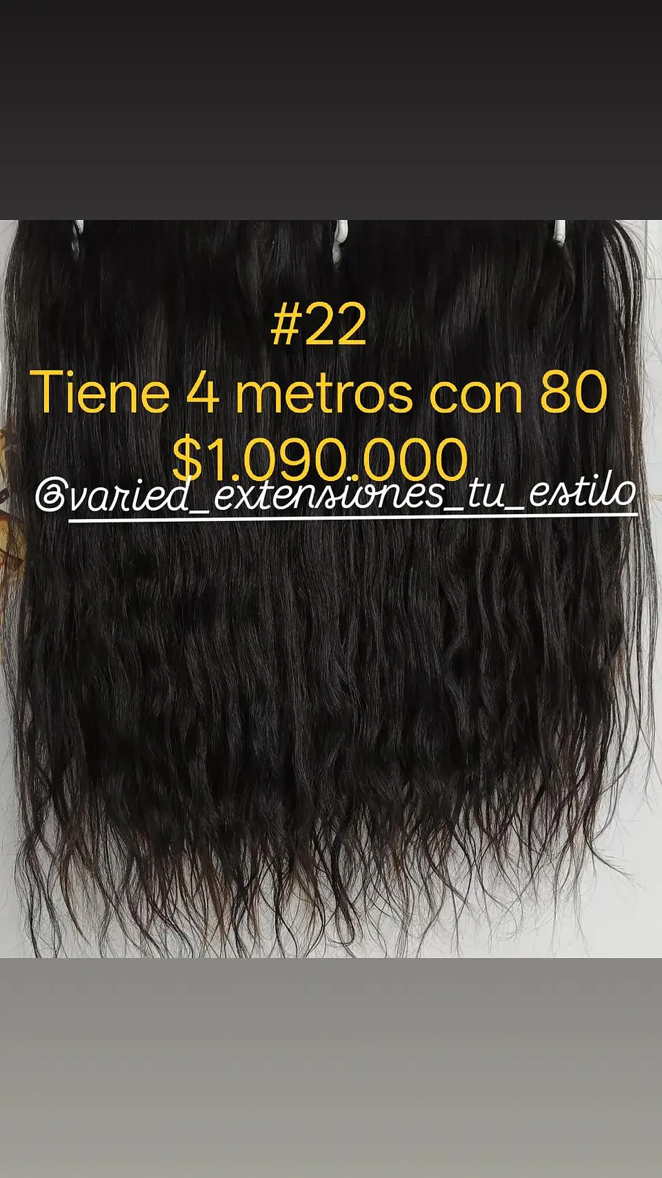 Extensión #22 1