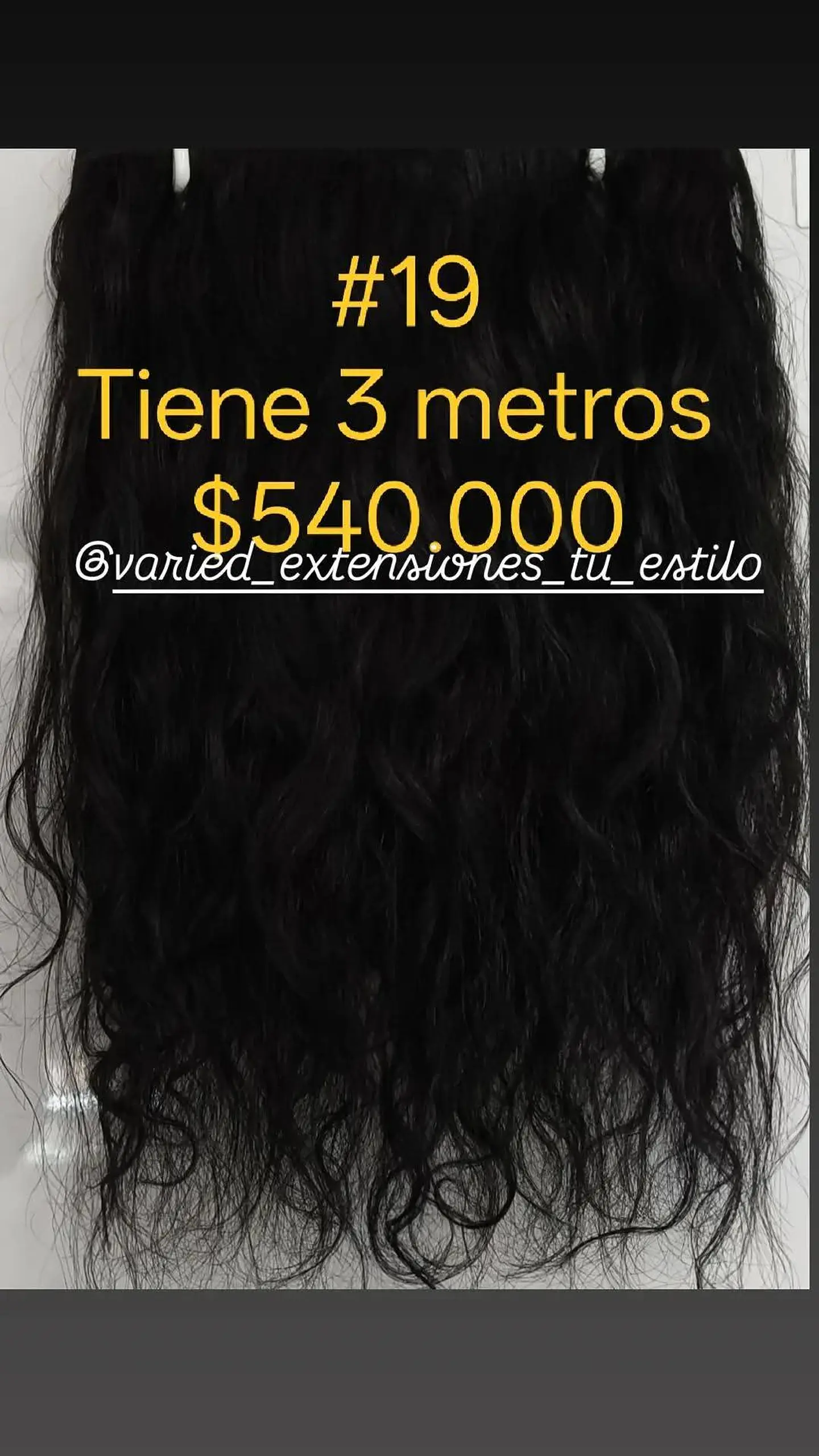 Extensión #19 1
