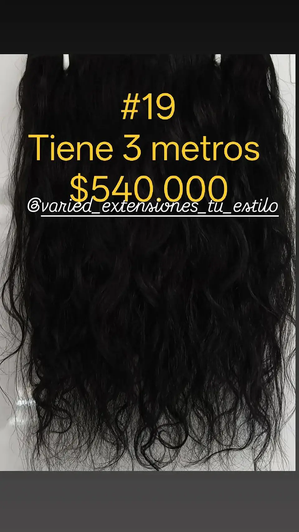 Extensión #19 1