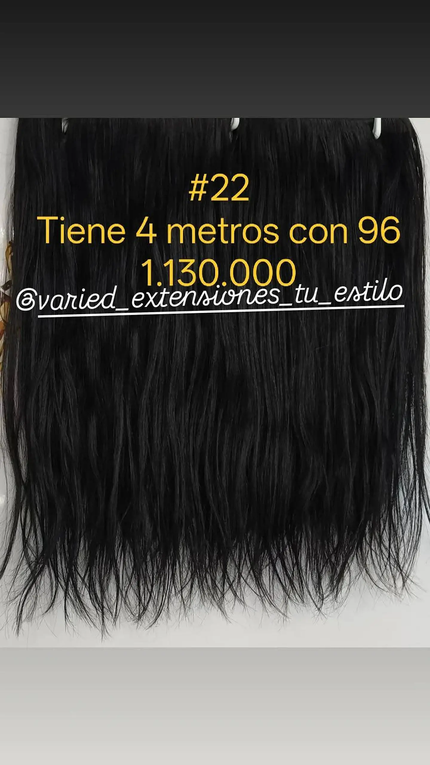 Extensión #22 1