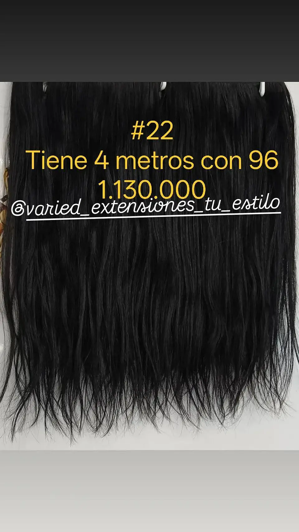 Extensión #22 1