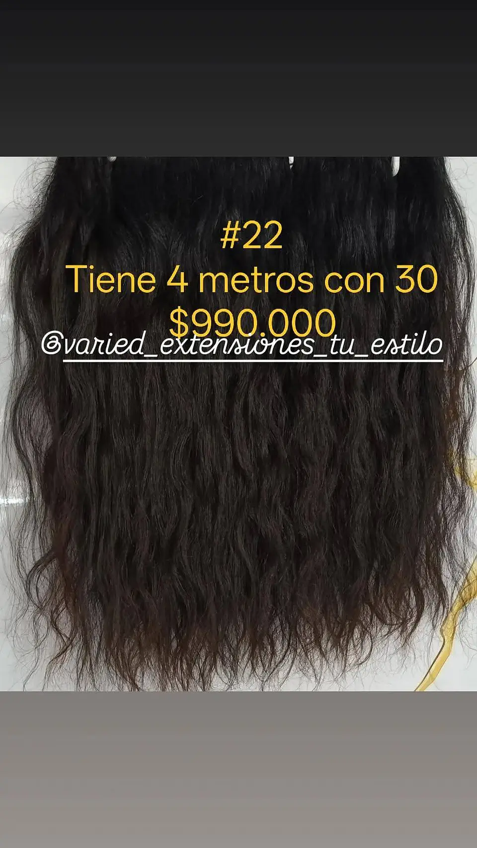 Extensión #22 1