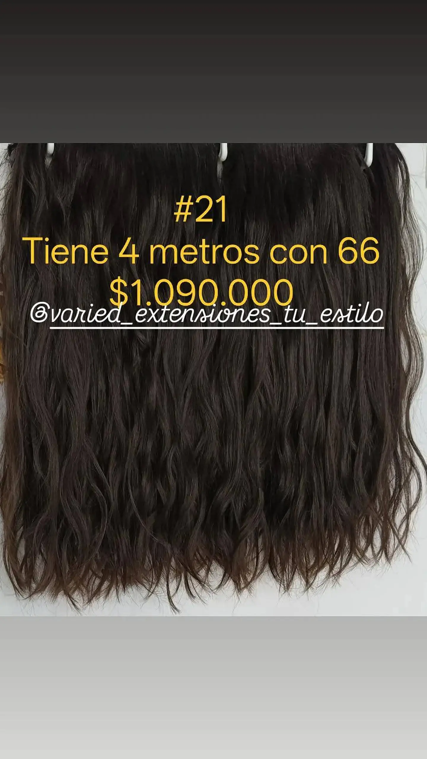 Extensión #21 1