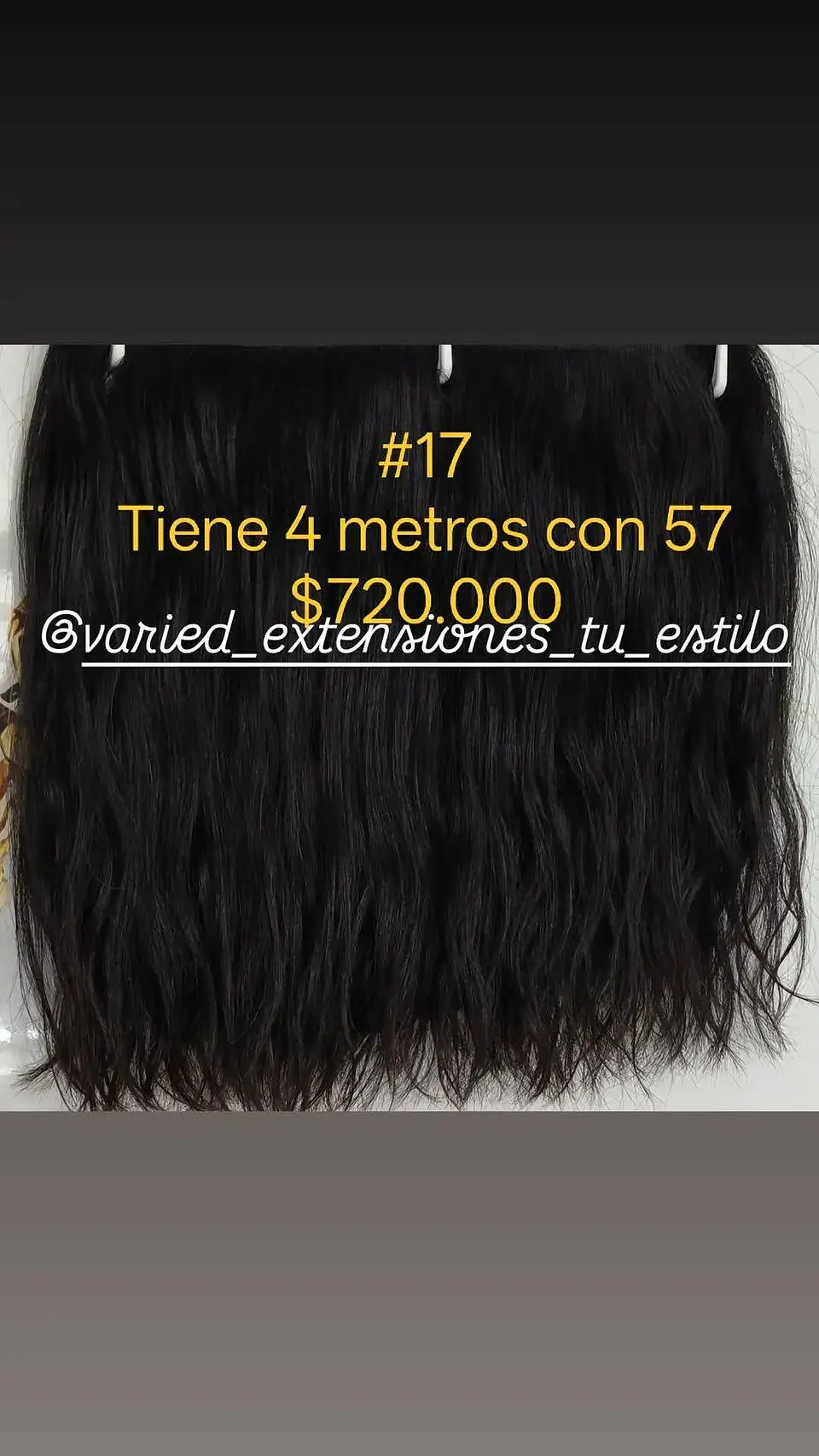 Extensión #17 1