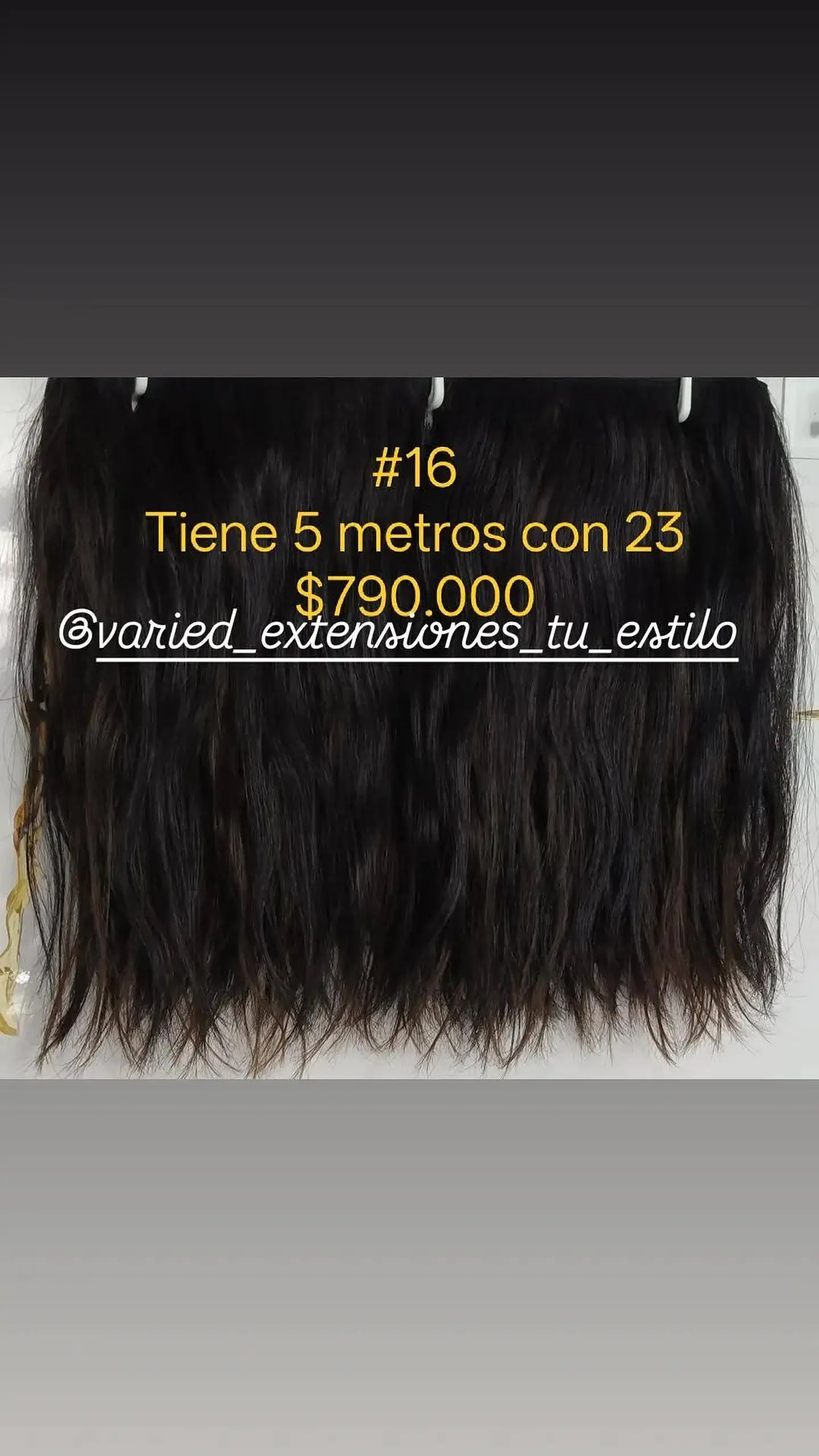 Extensión #16 1