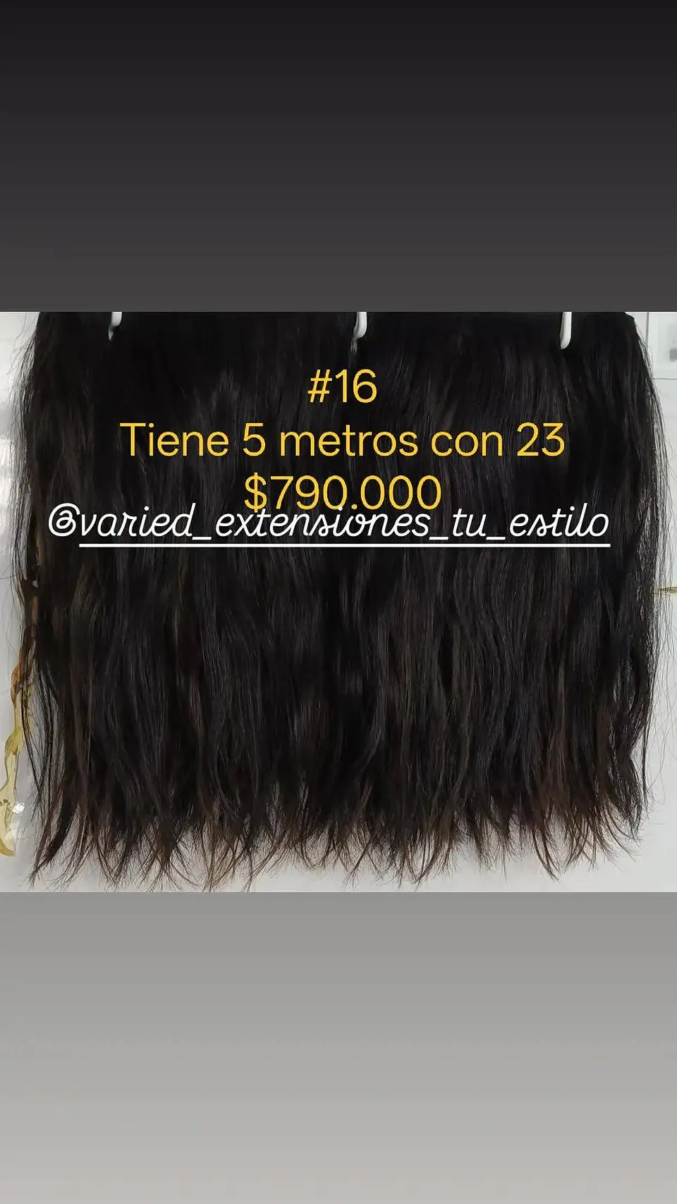 Extensión #16 1