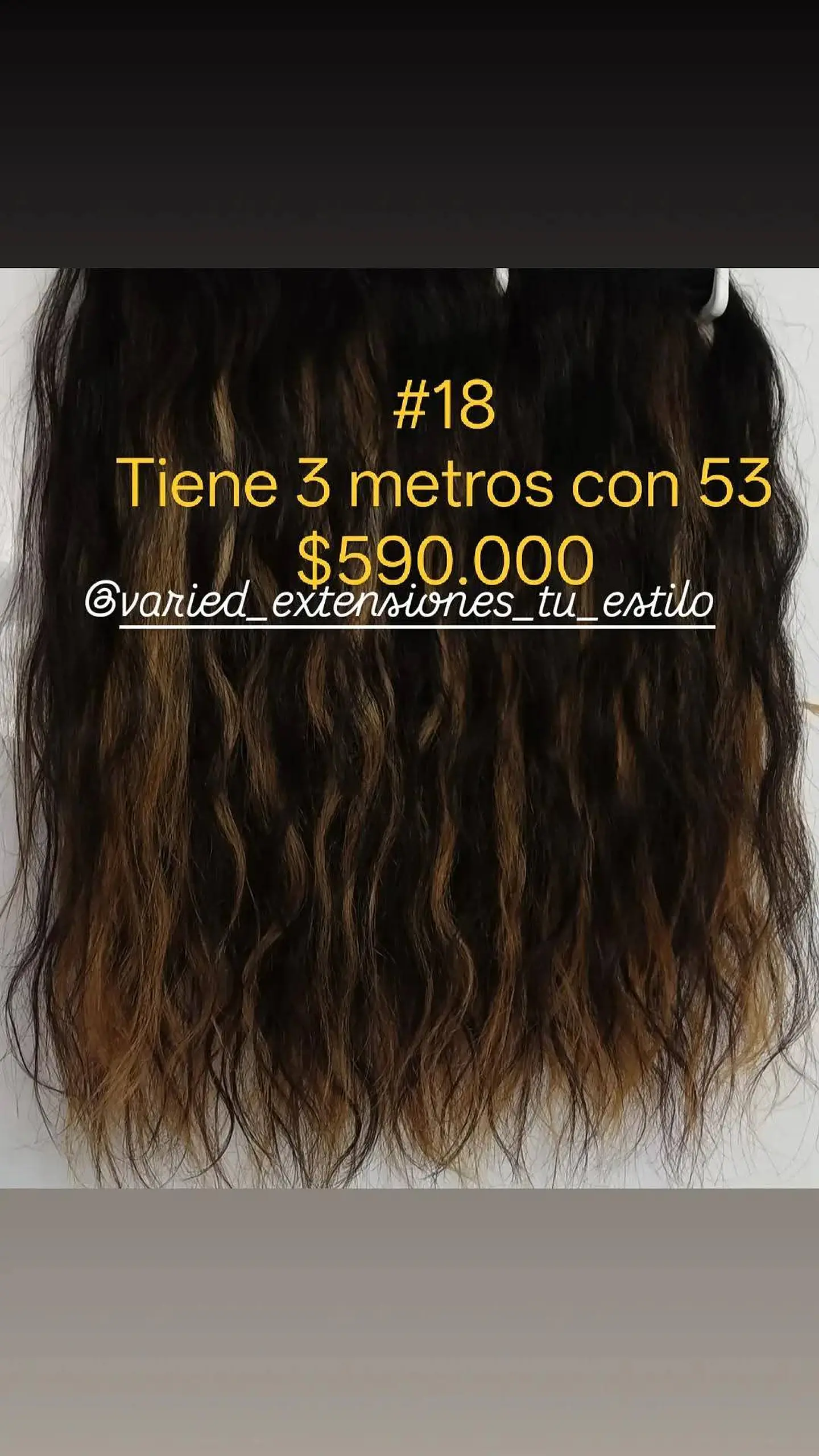Extensión #18 1