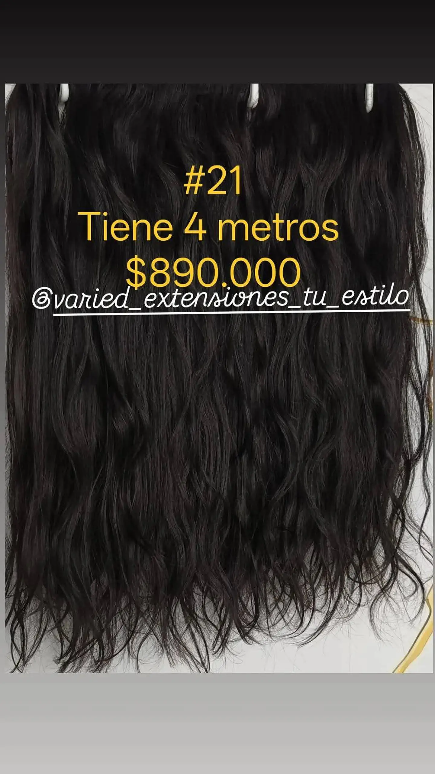 Extensión #21 1