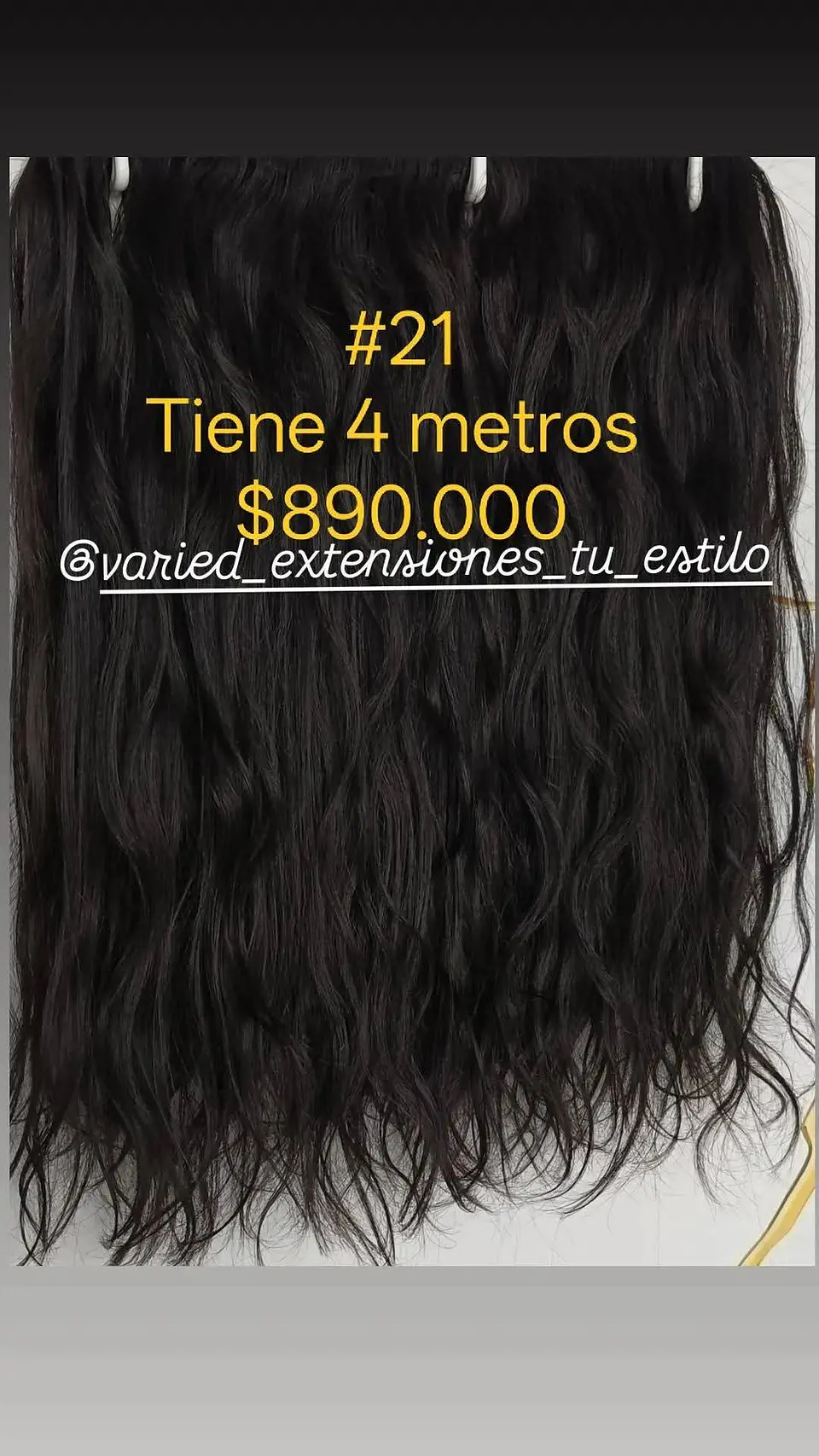 Extensión #21 1