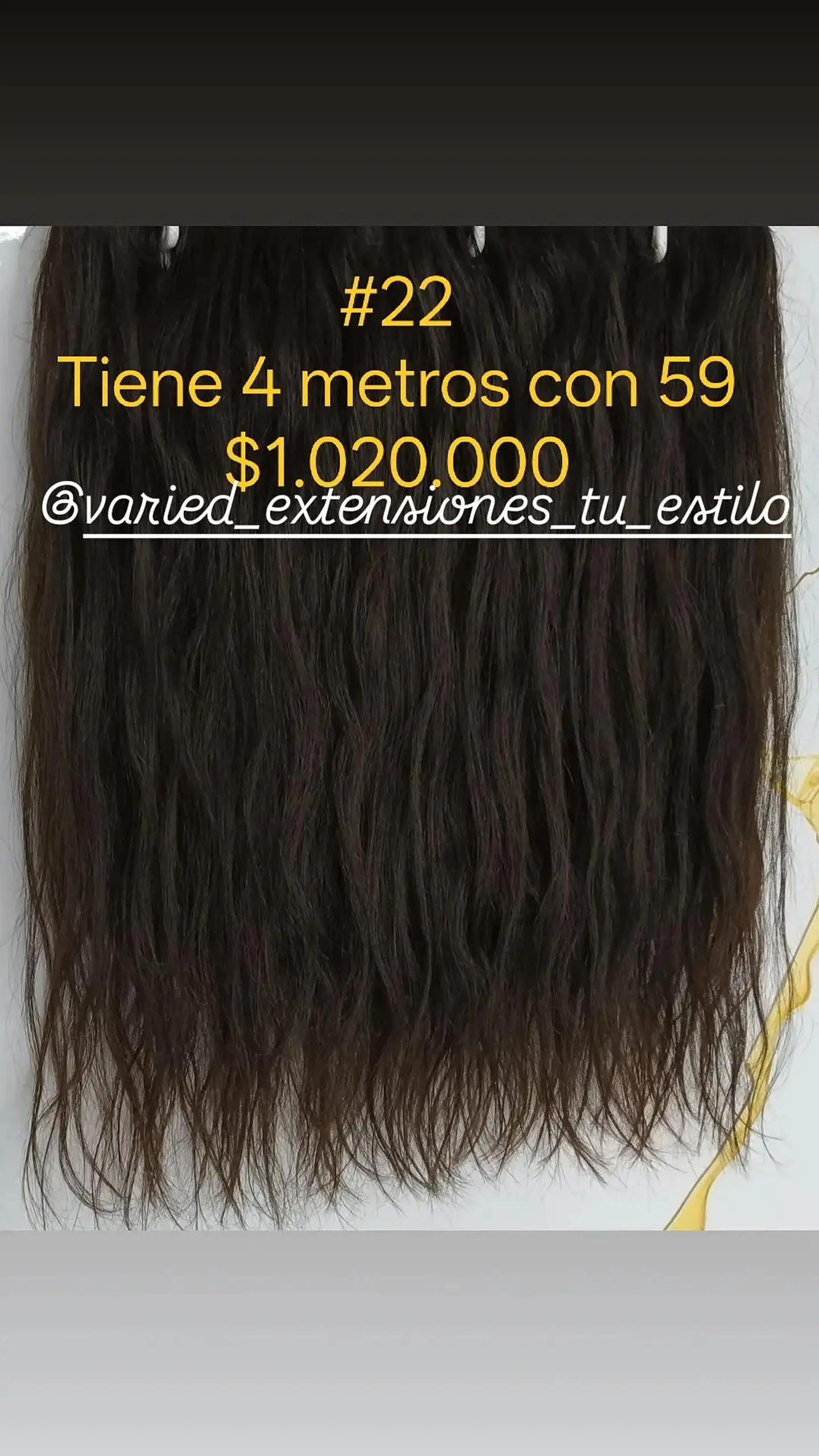Extensión #22 1