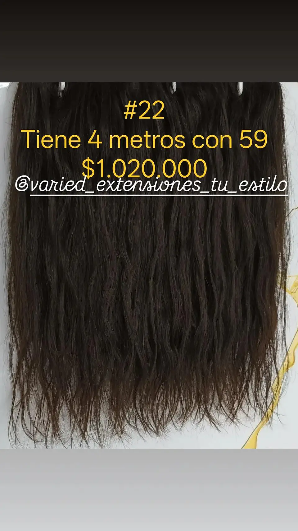 Extensión #22 1