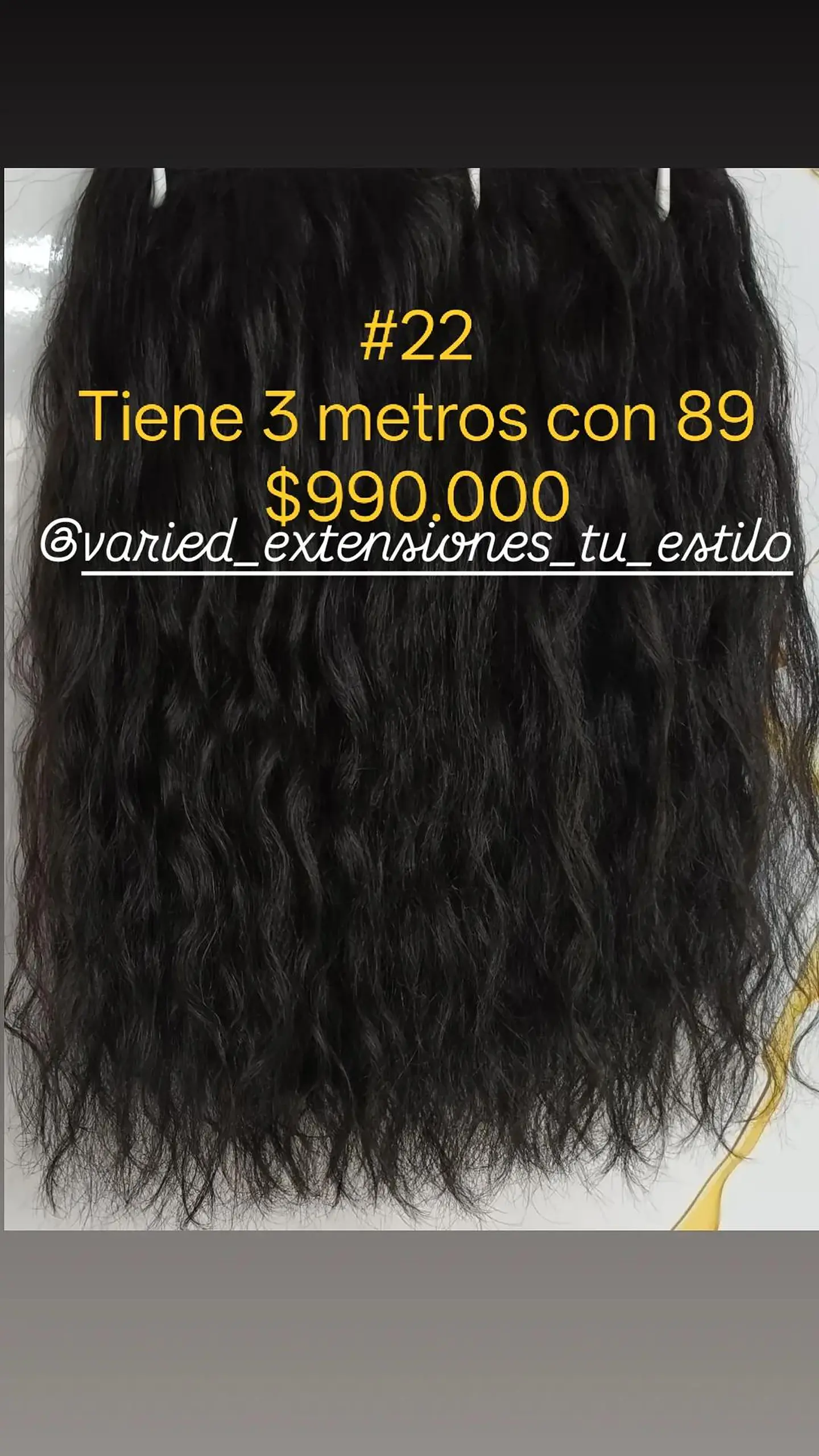 Extensión #22 1
