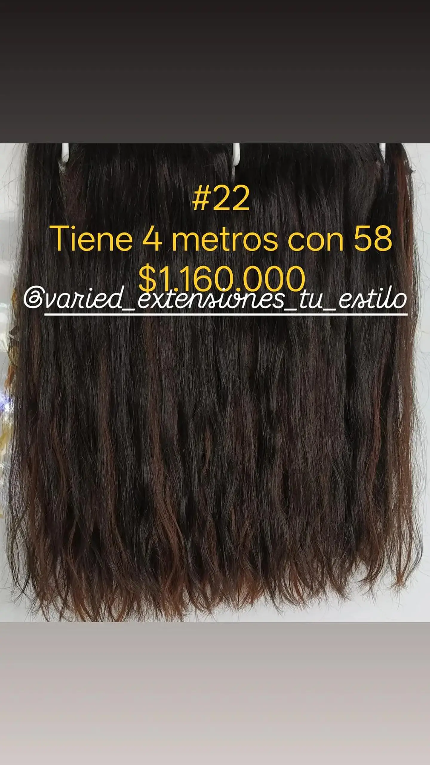 Extensión #22 1