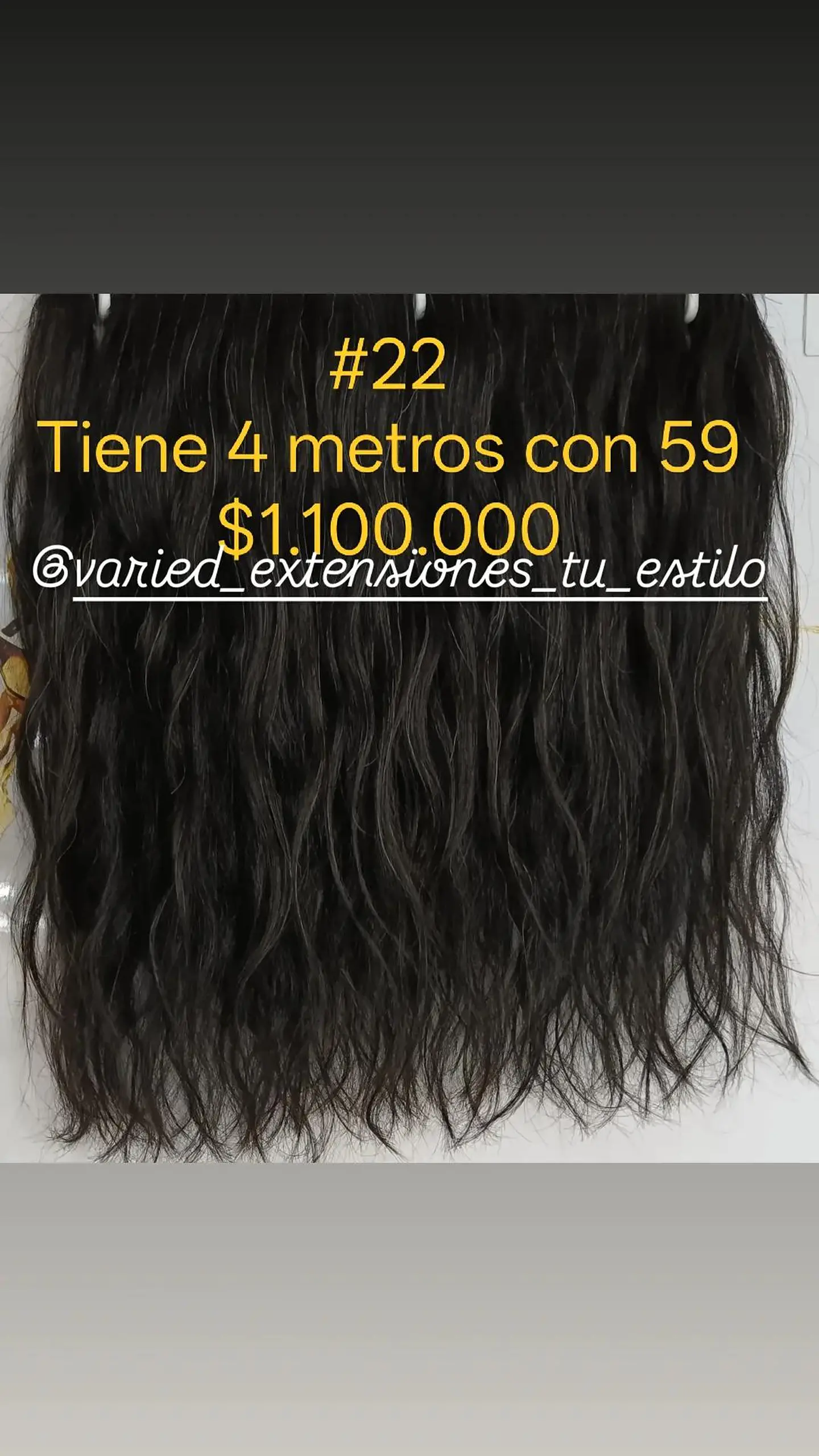 Extensión #22 1