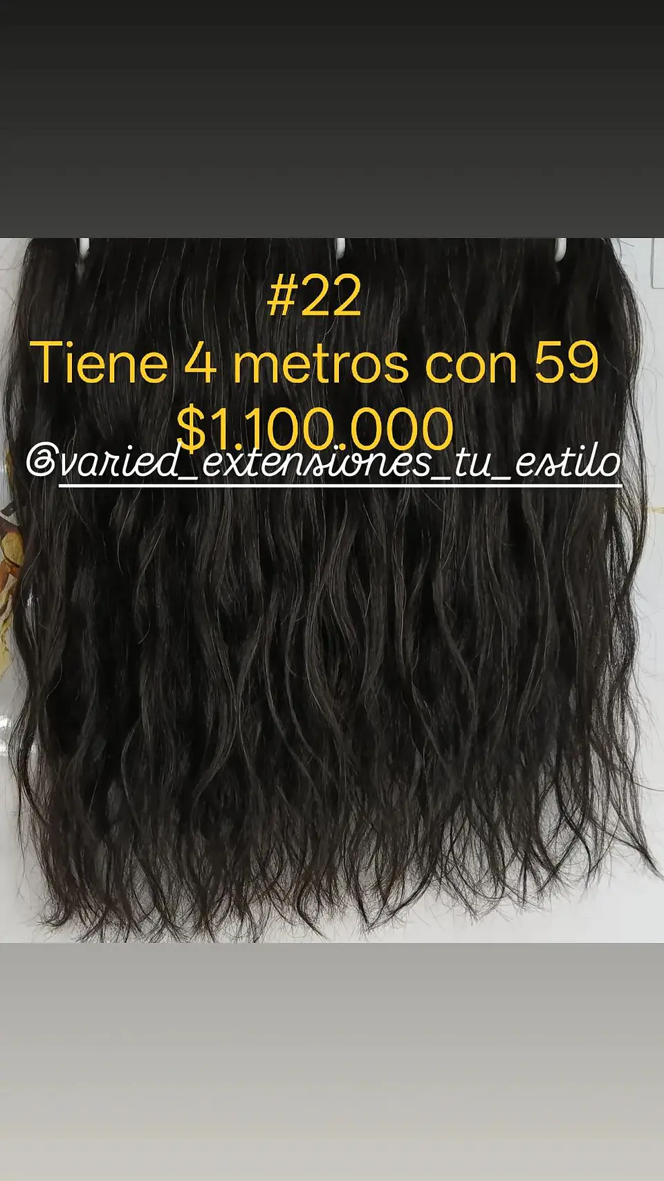 Extensión #22 1
