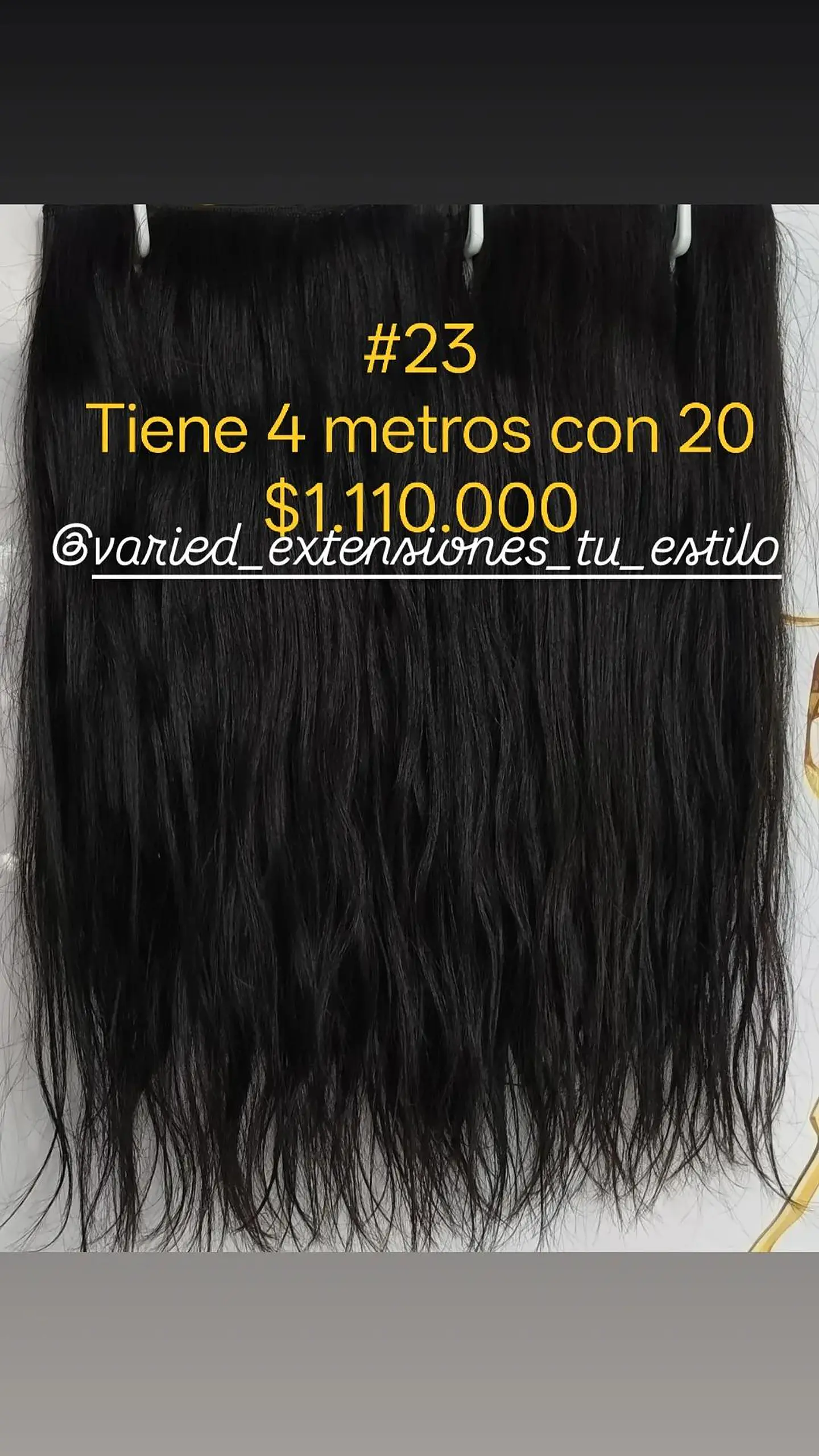 Extensión #23 1