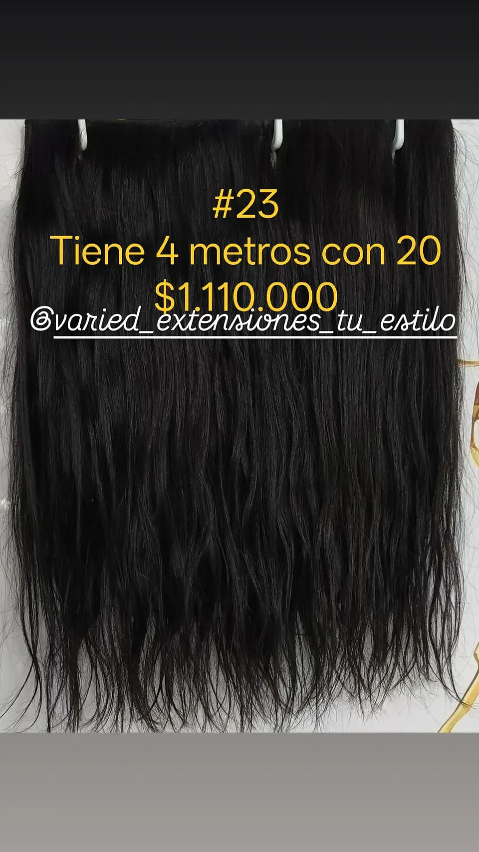 Extensión #23 1