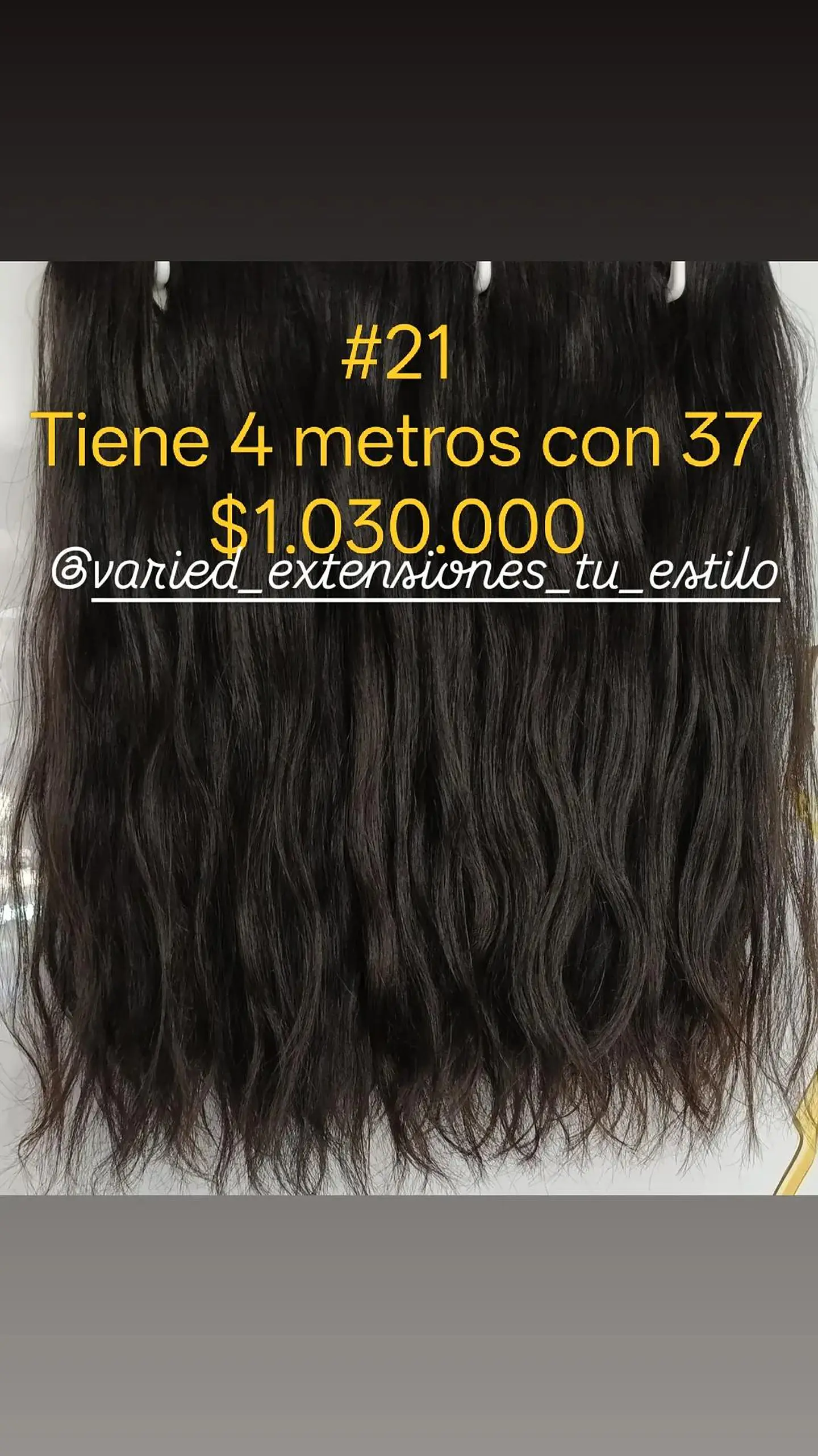 Extensión #21 1