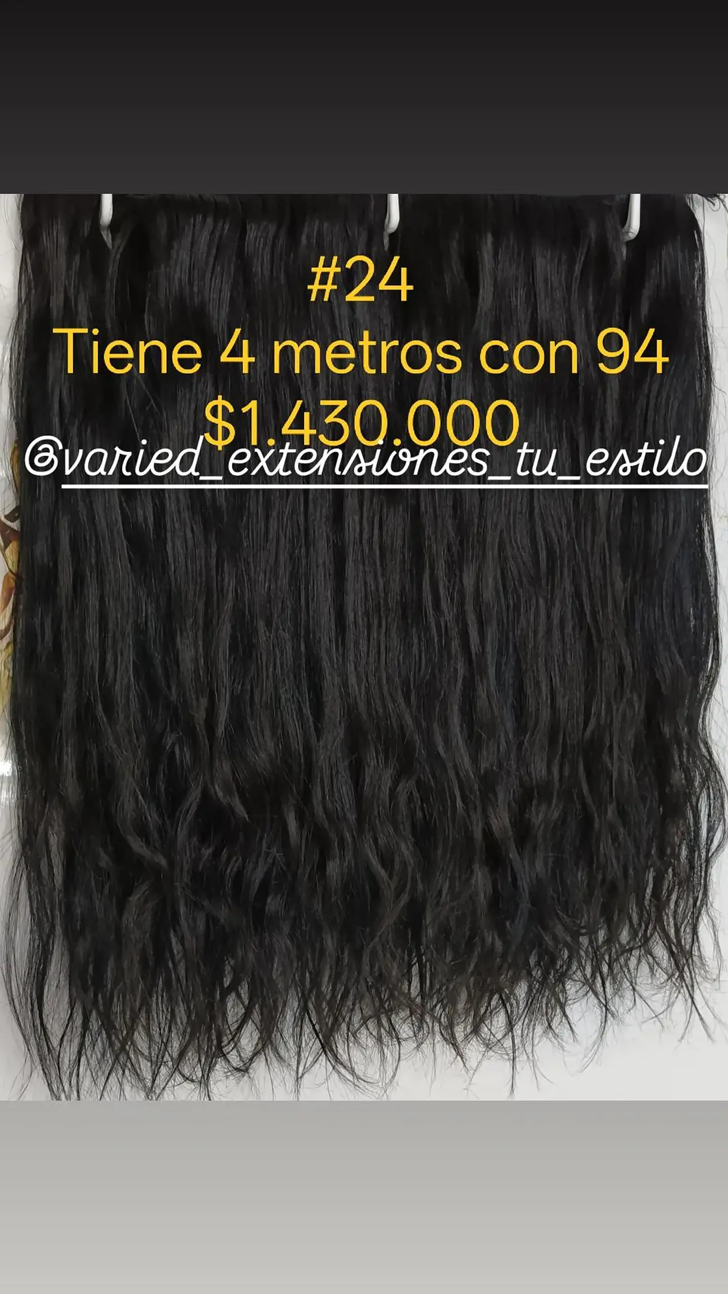 Extensión #24 1