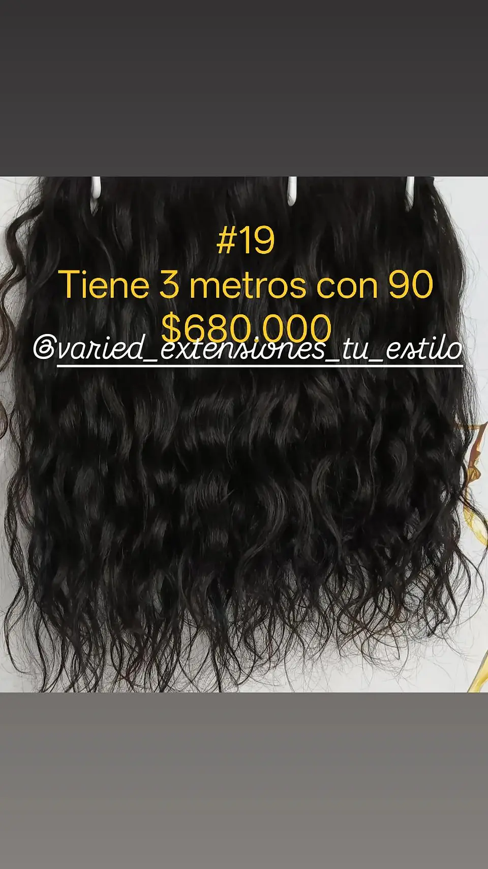 Extensión #19 1