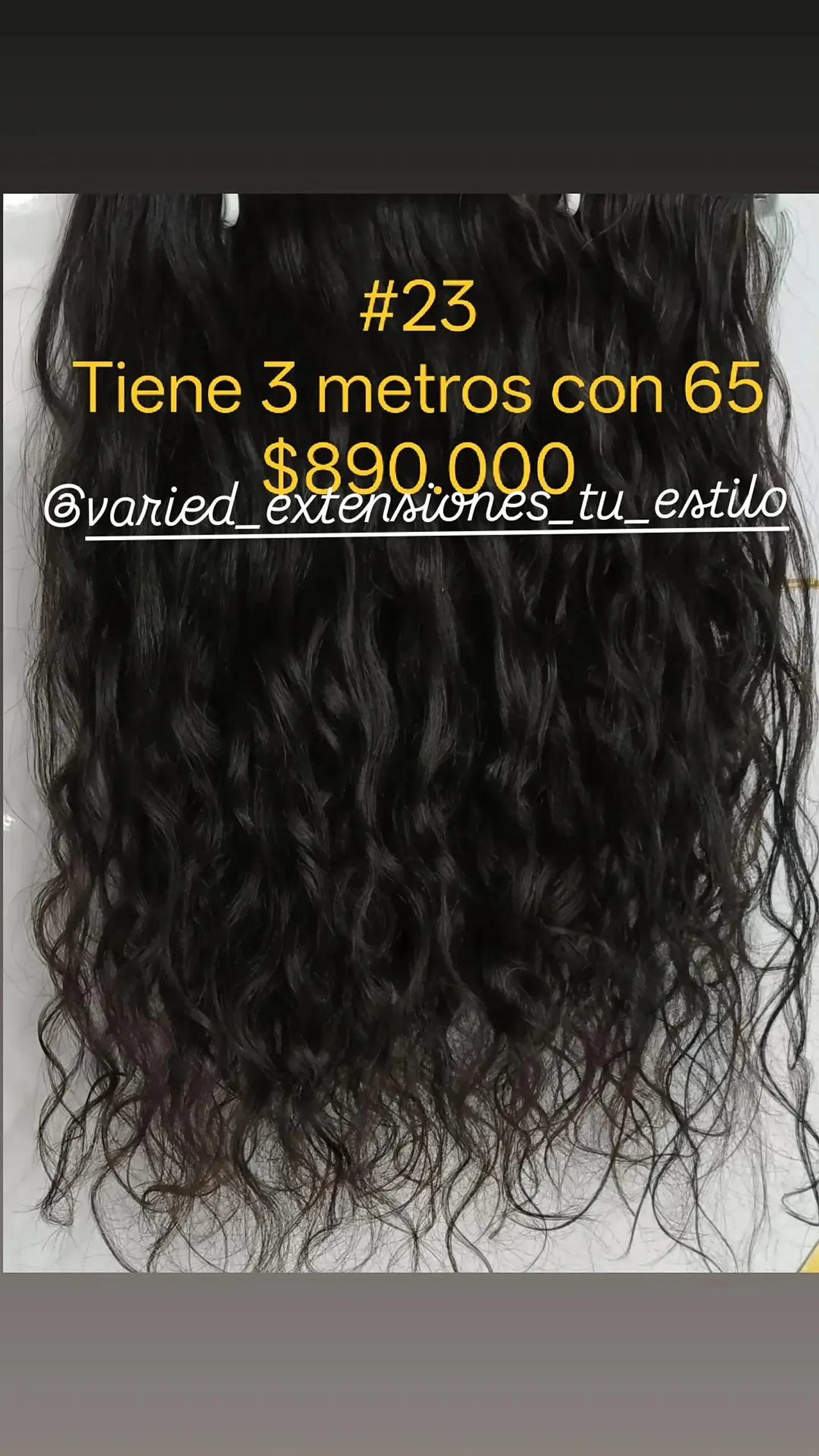 Extensión #23 1