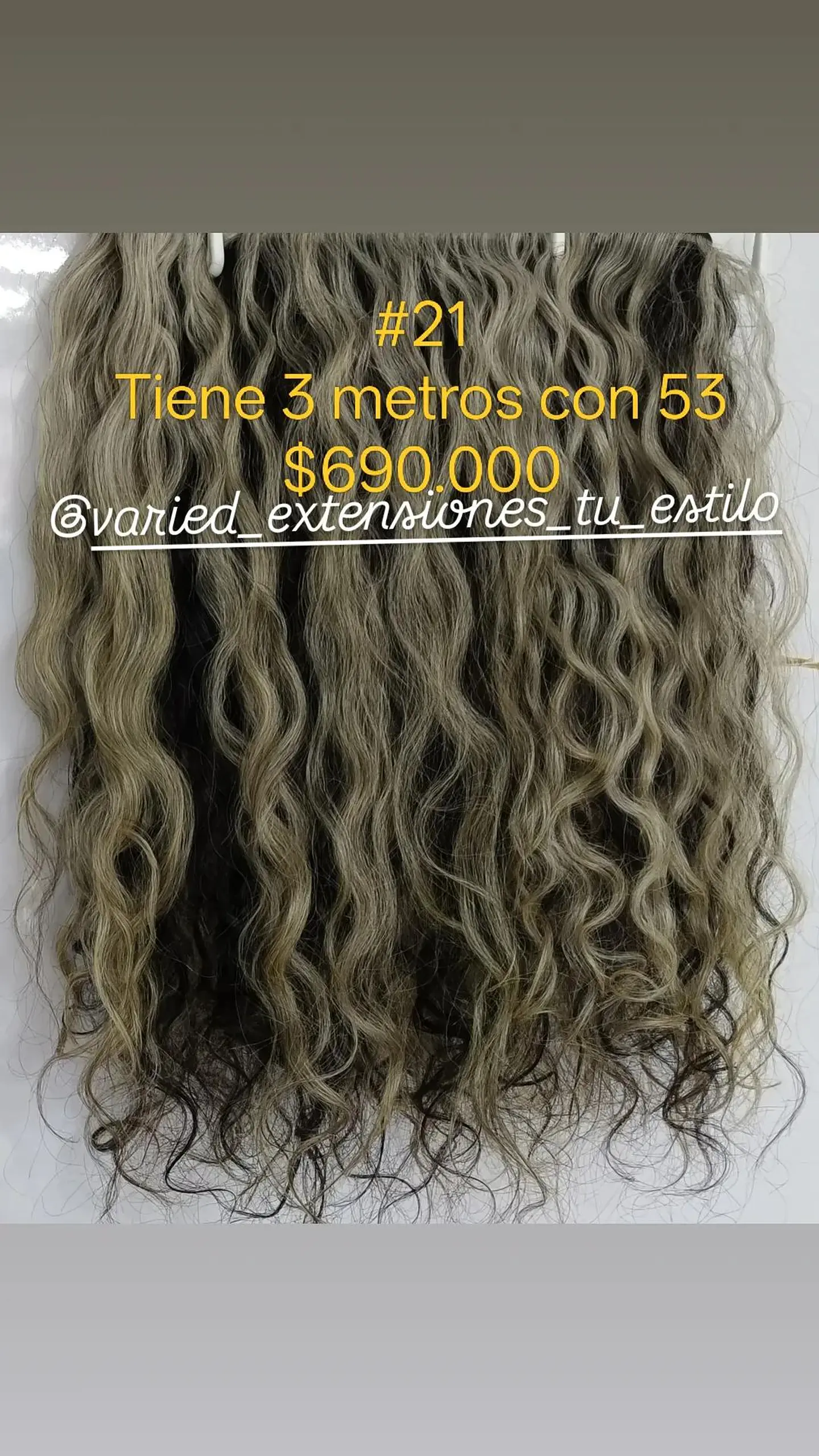 Extensión #21 1
