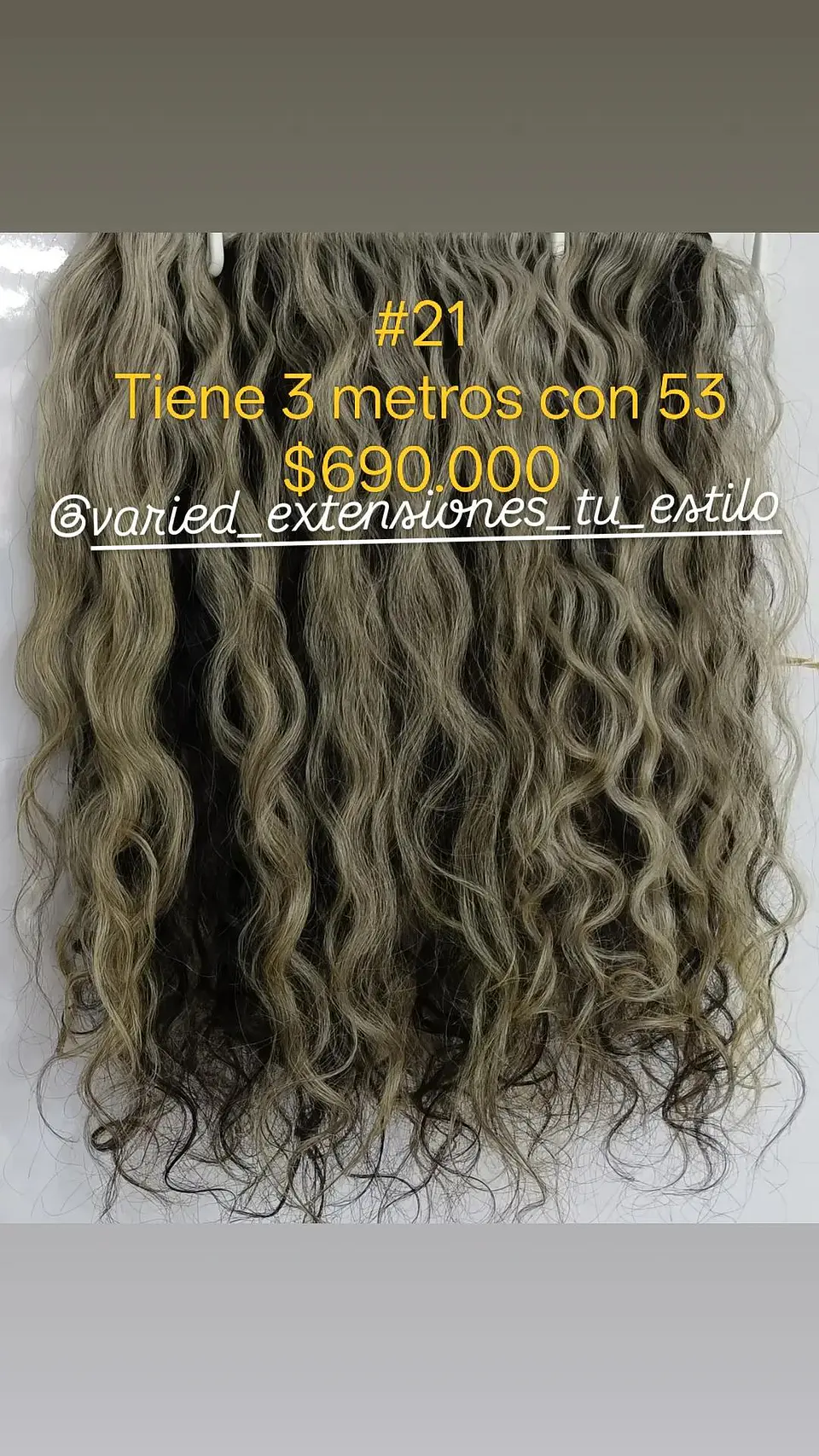 Extensión #21 1