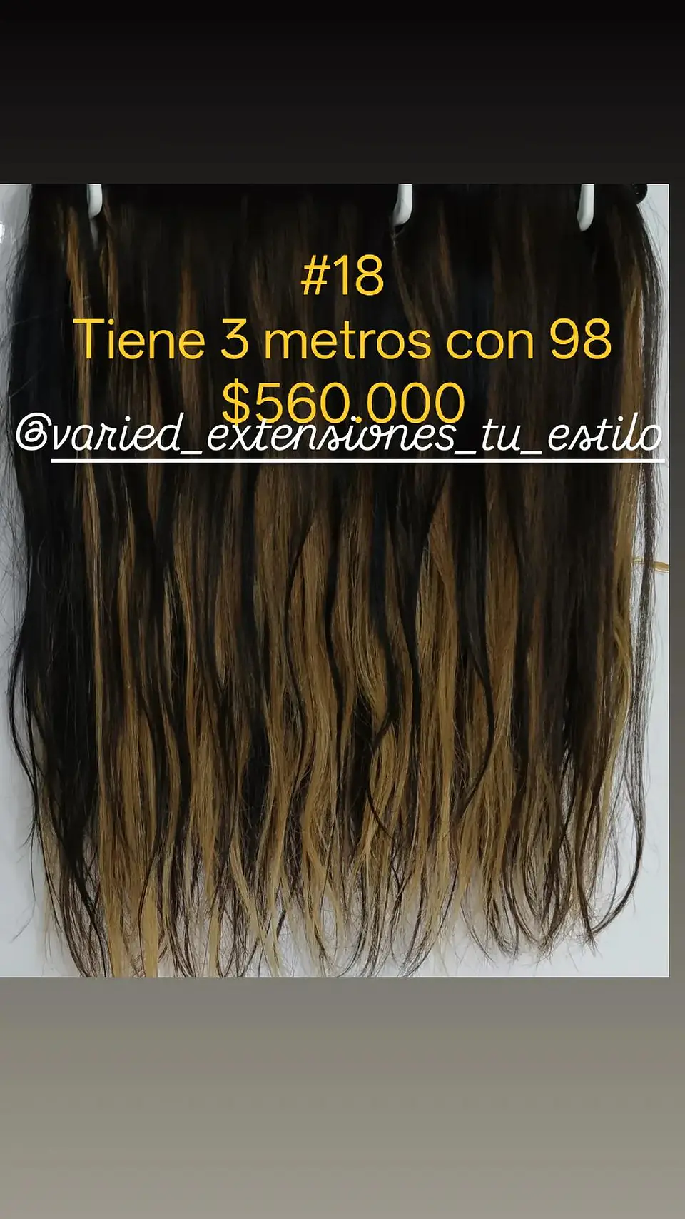 Extensión #18 1