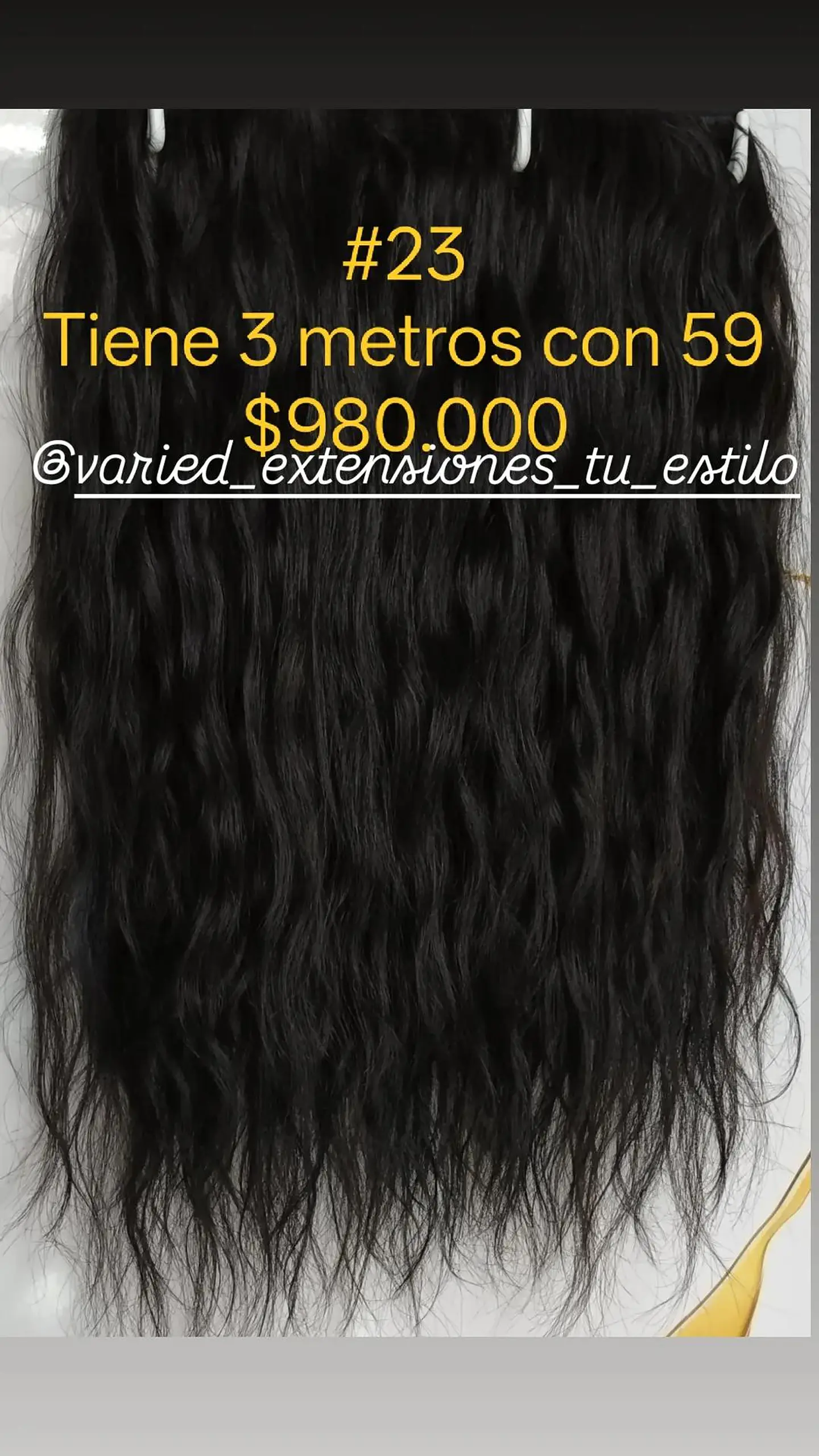 Extensión #23 1
