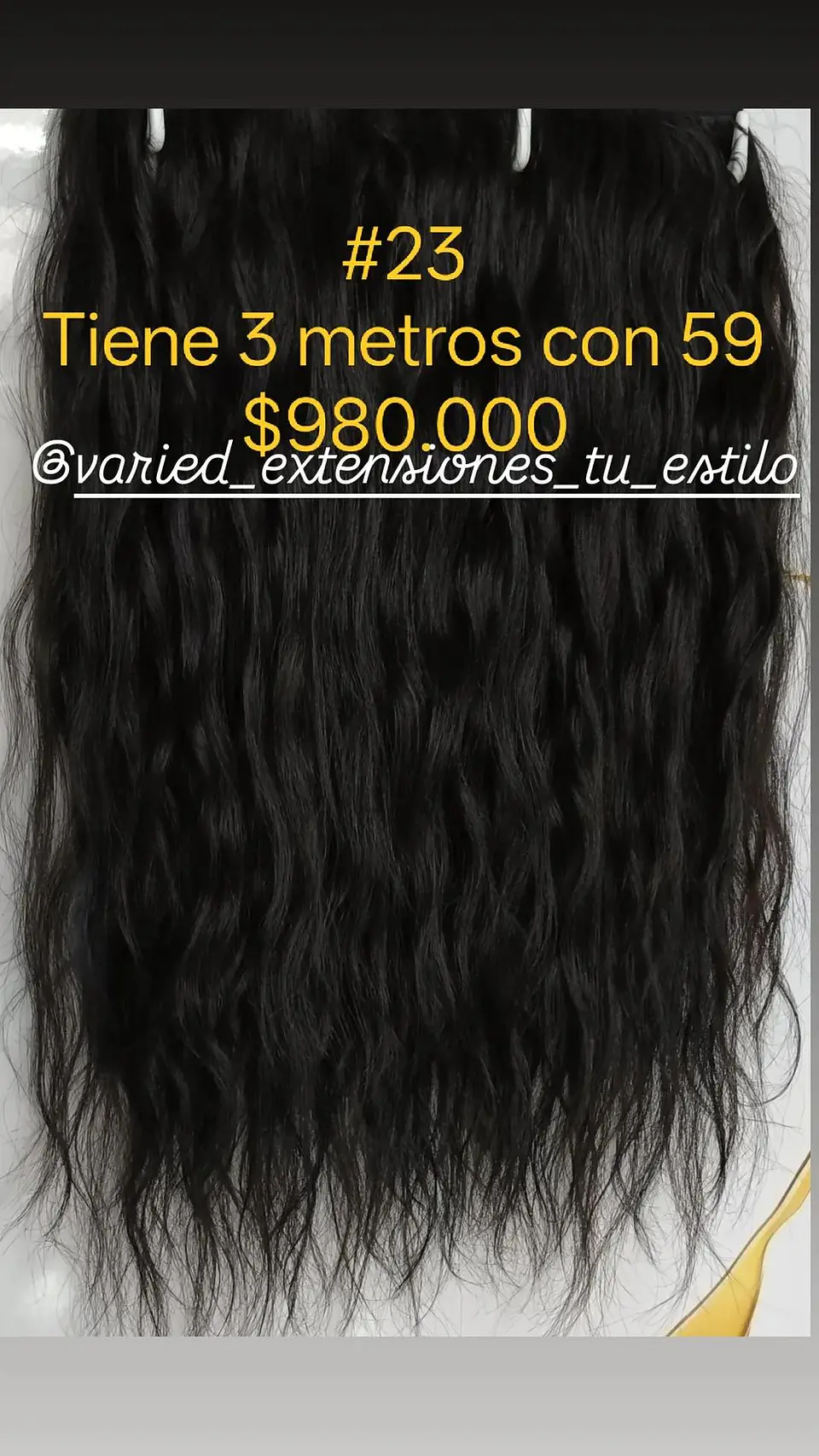 Extensión #23 1