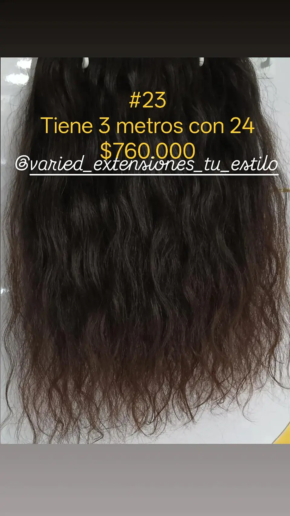 Extensión #23 1