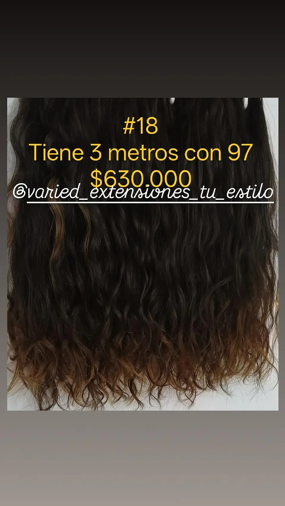 Extensión #18 1