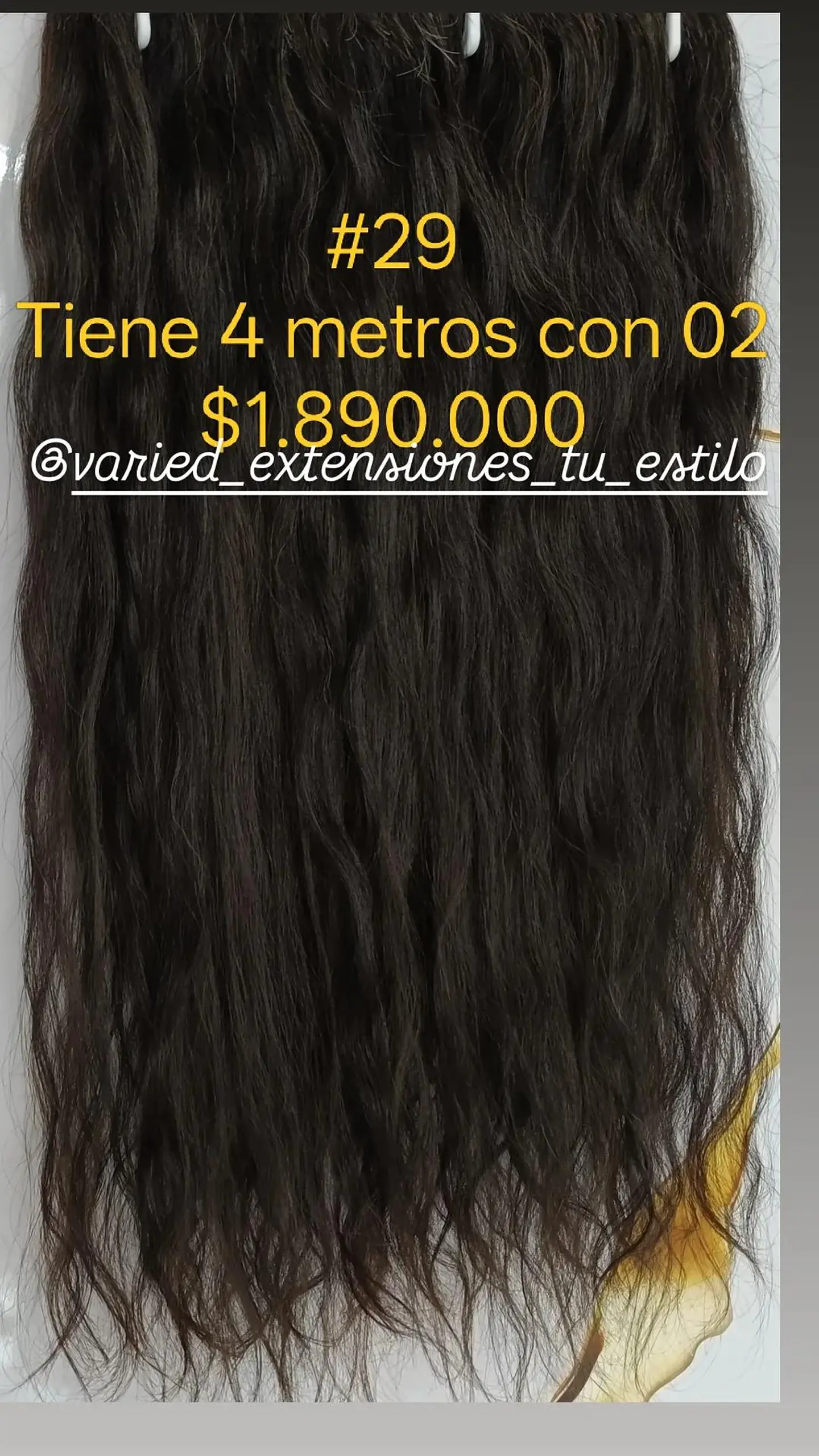 Extensión #29 1