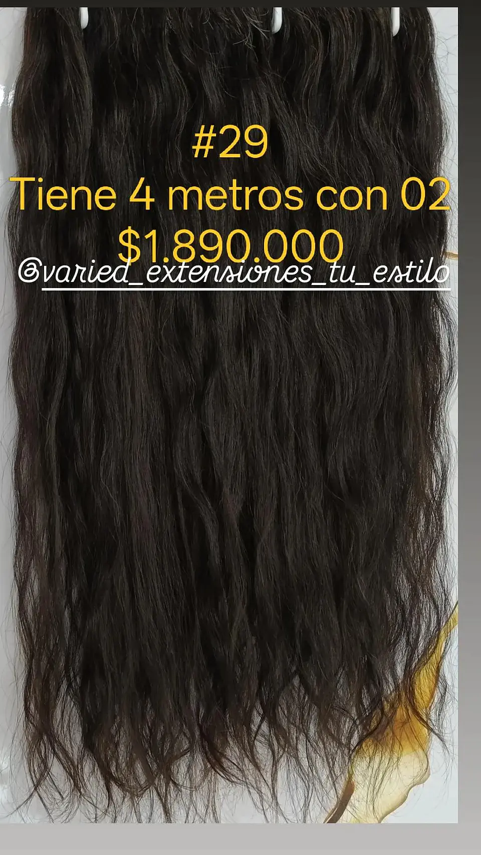 Extensión #29 1