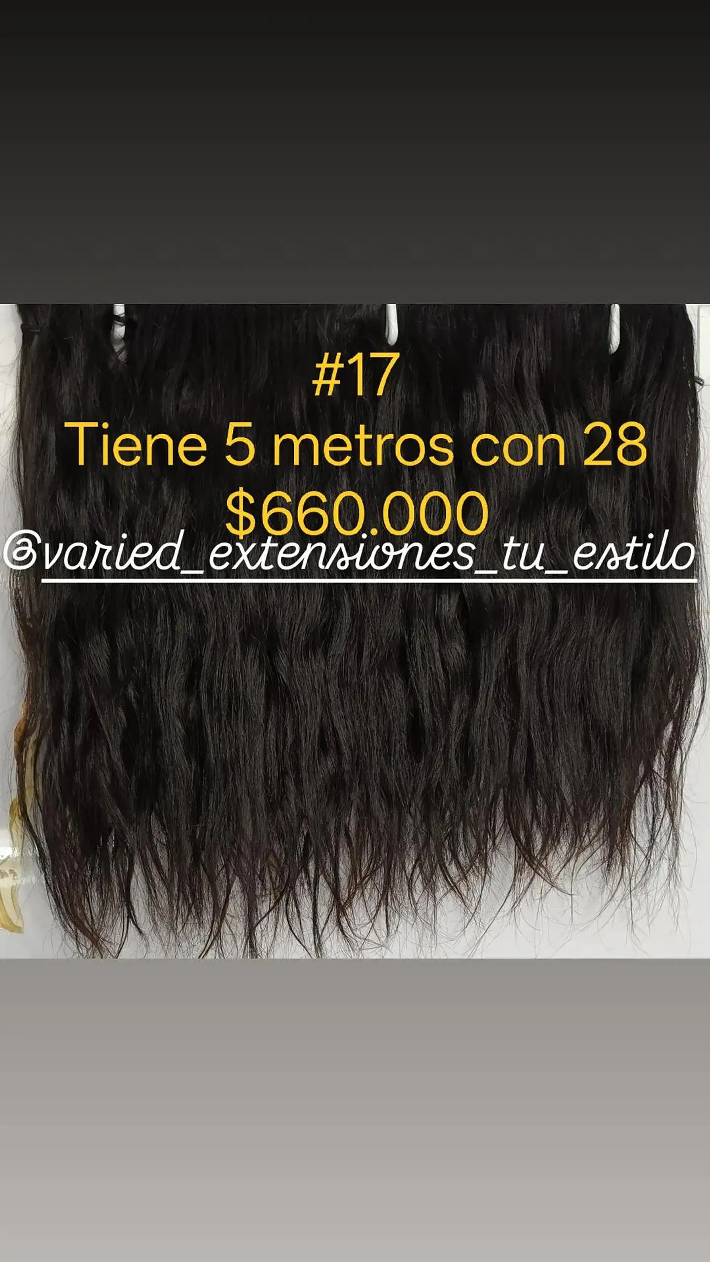 Extensión #17 1