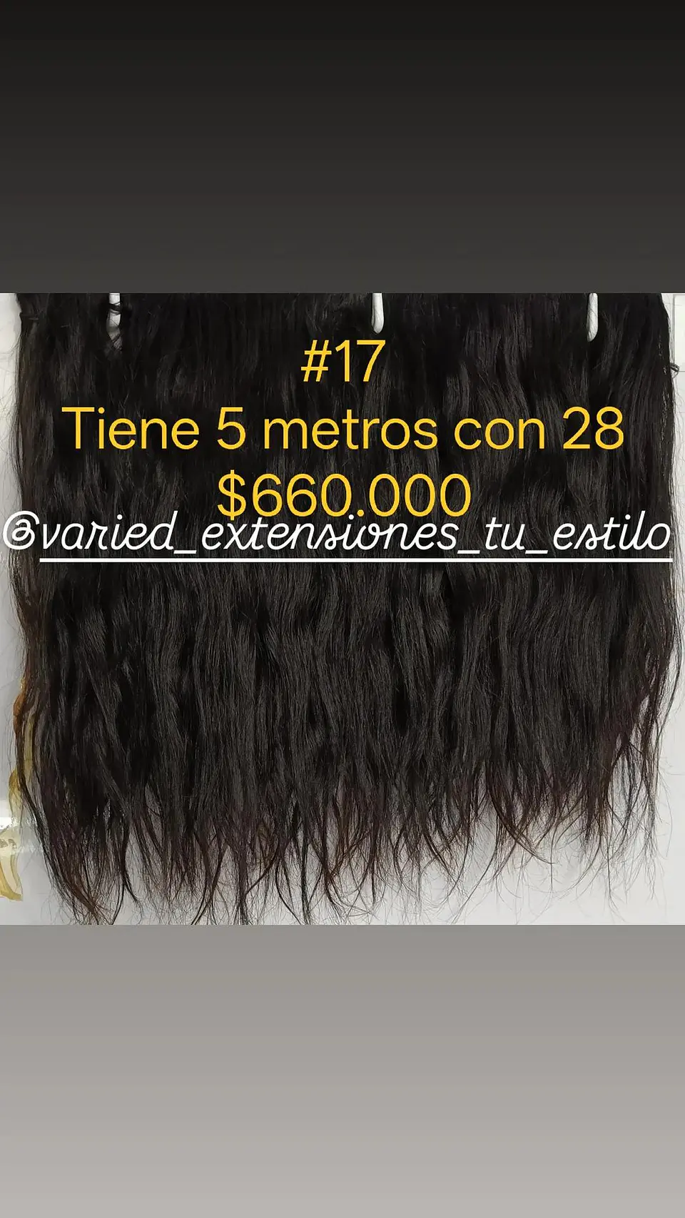 Extensión #17 1