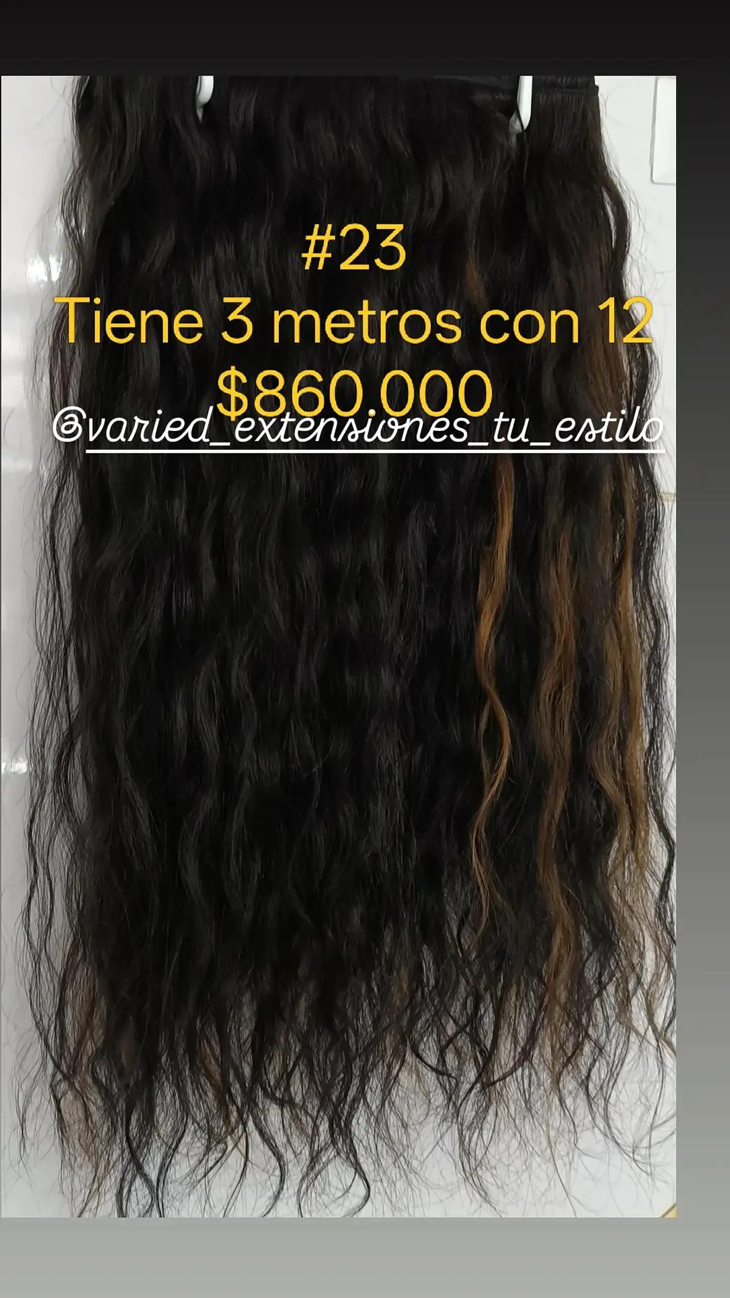 Extensión #23 1