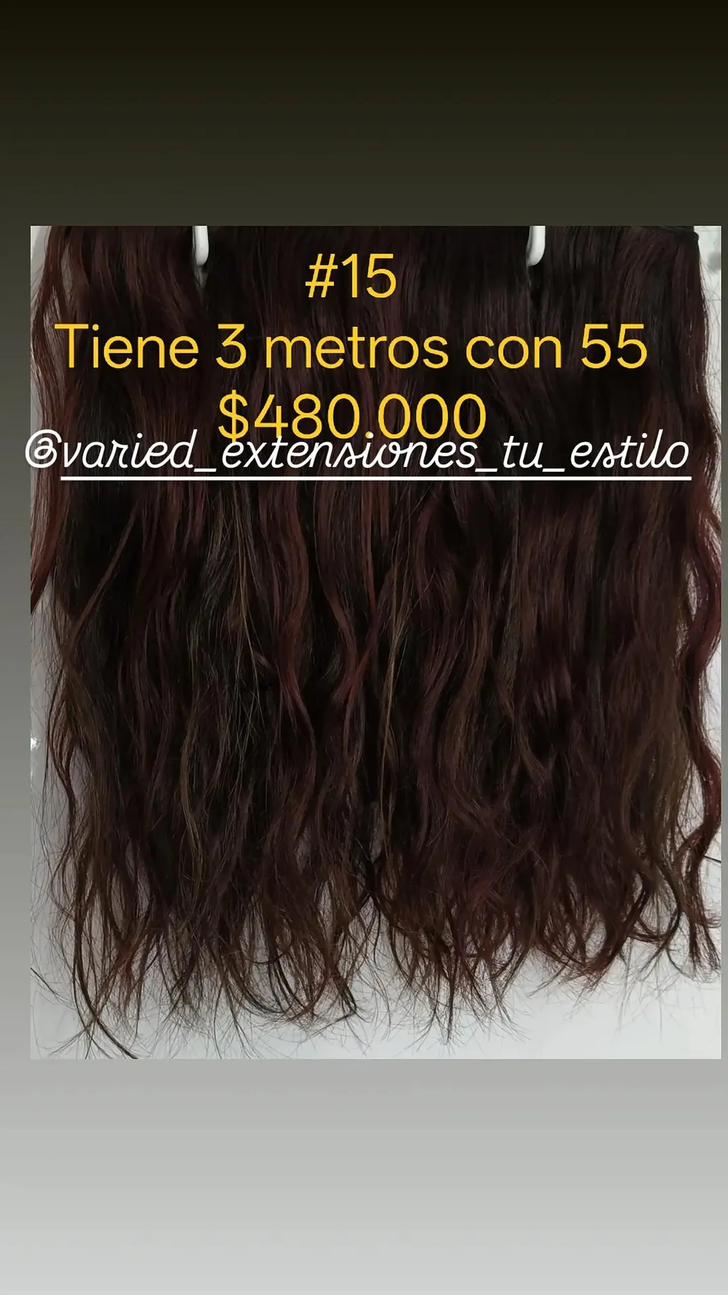 Extensión #15 1