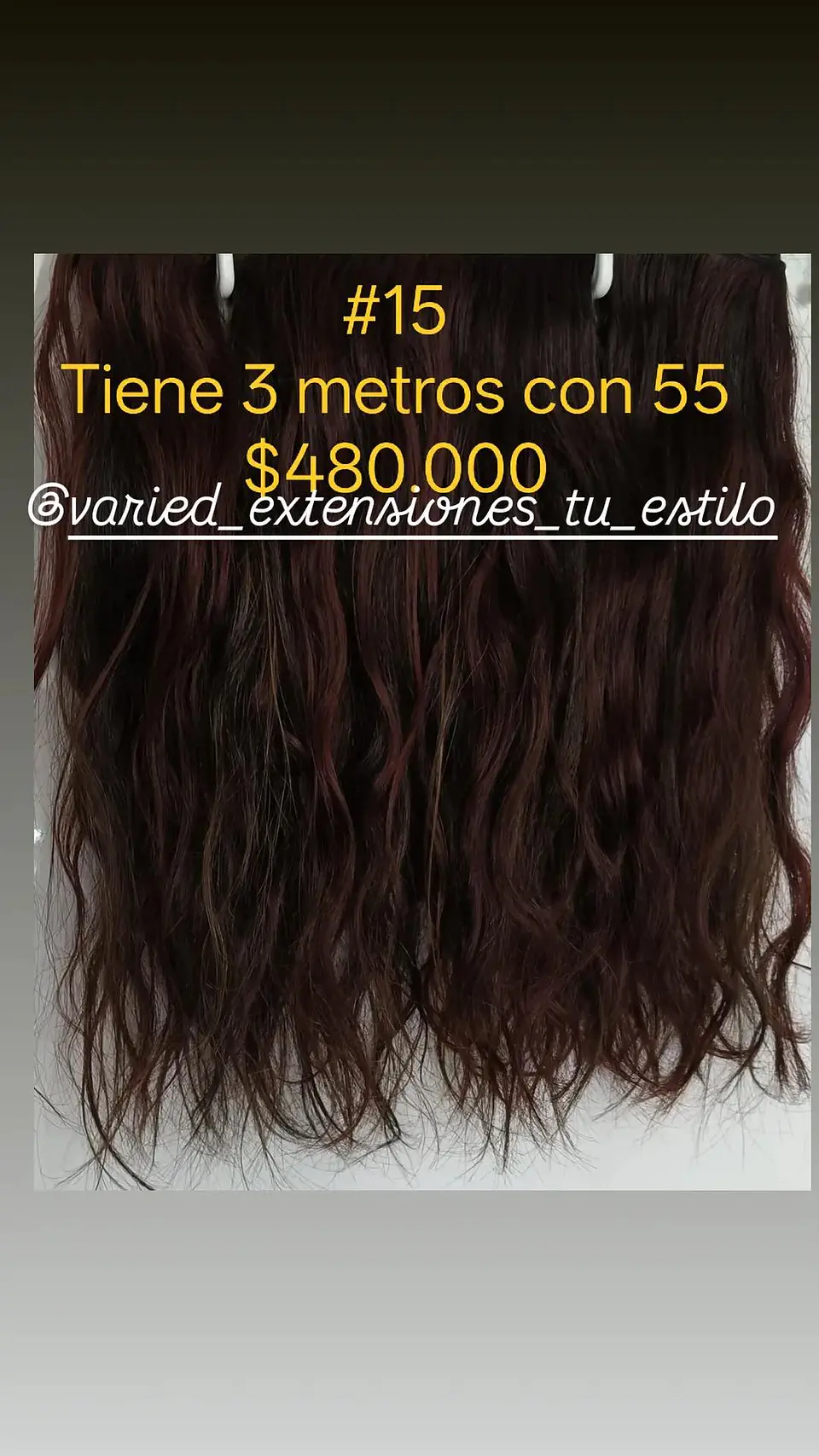 Extensión #15 1