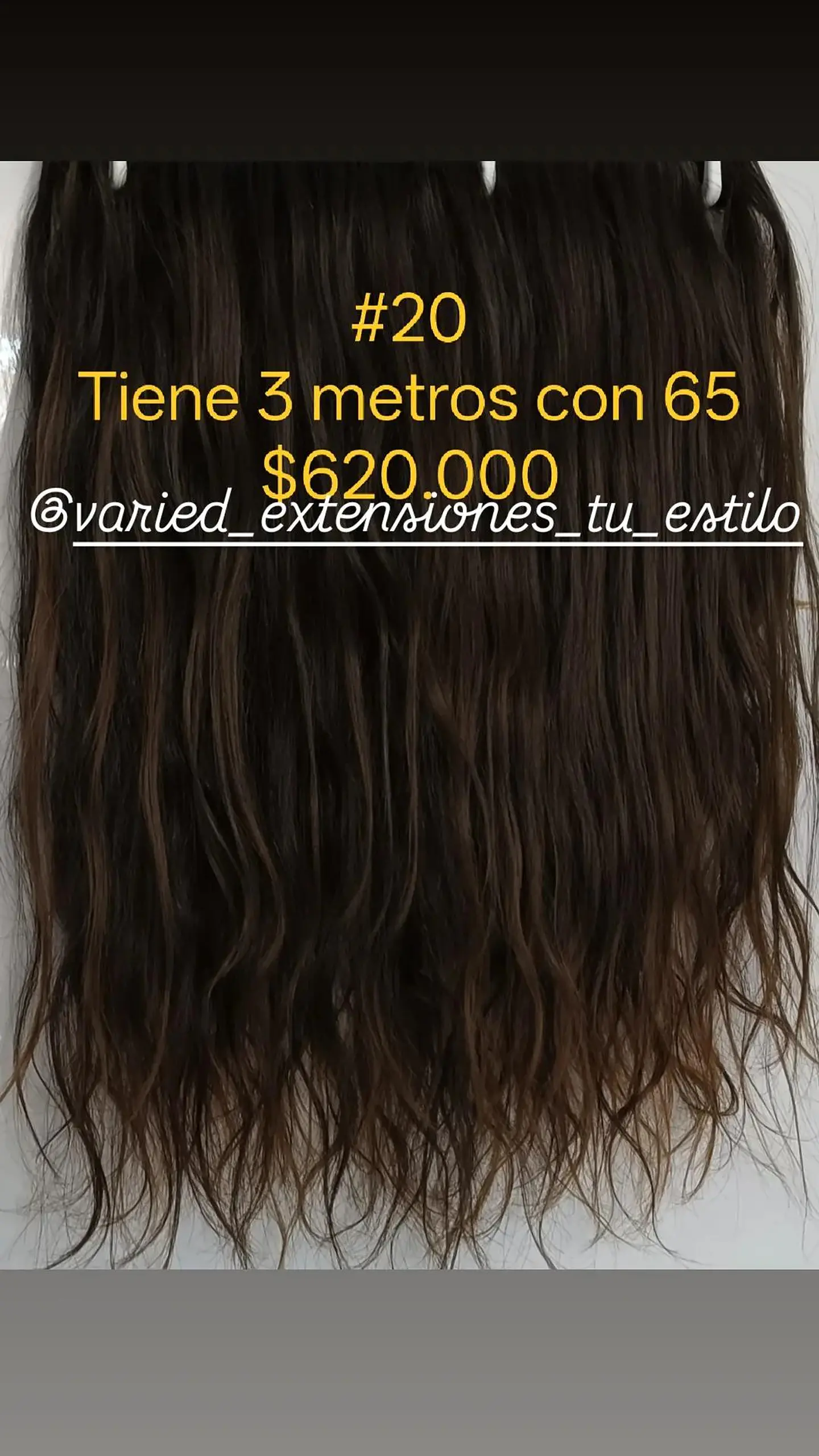Extensión #20 1