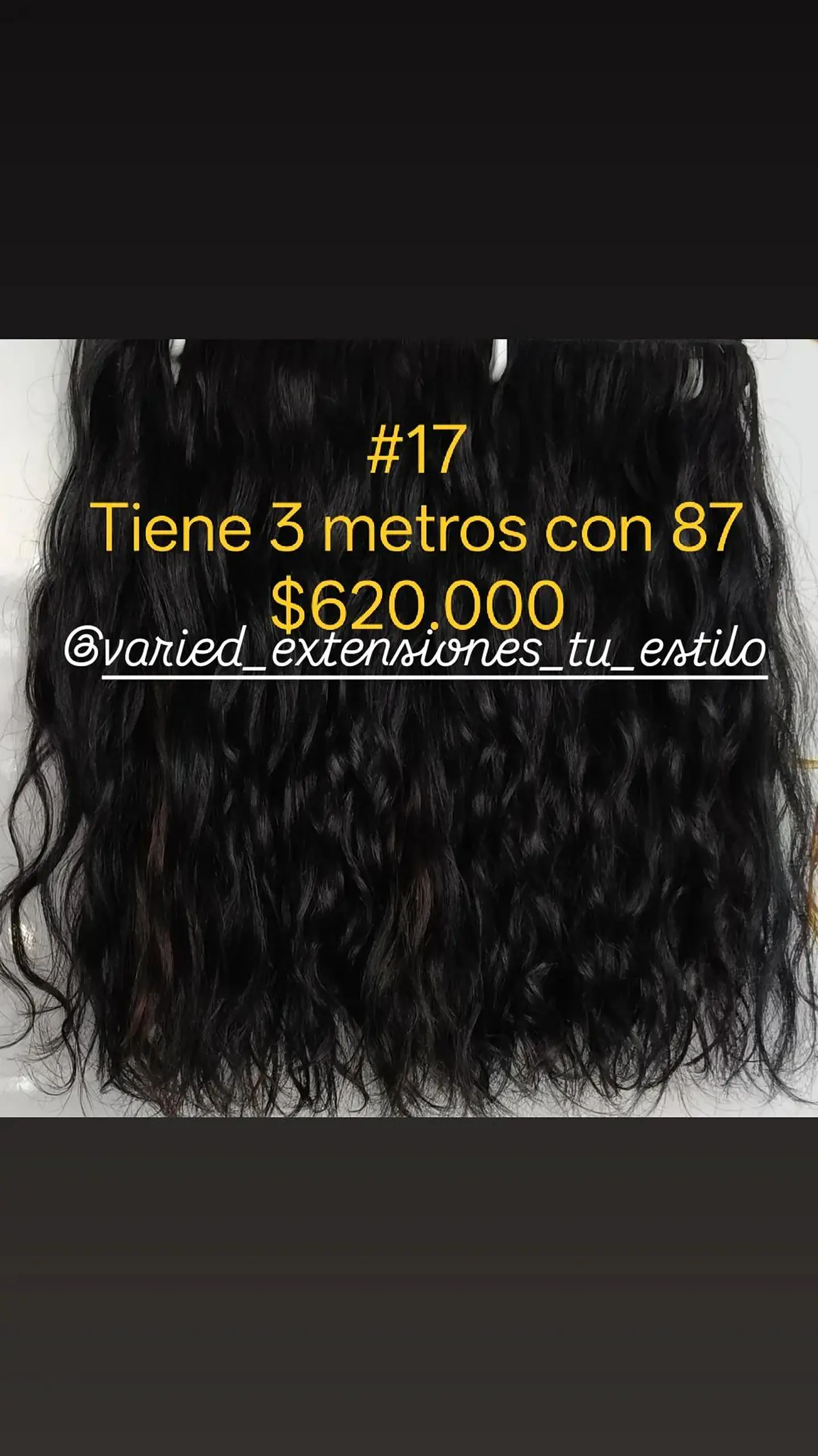 Extensión #17 1