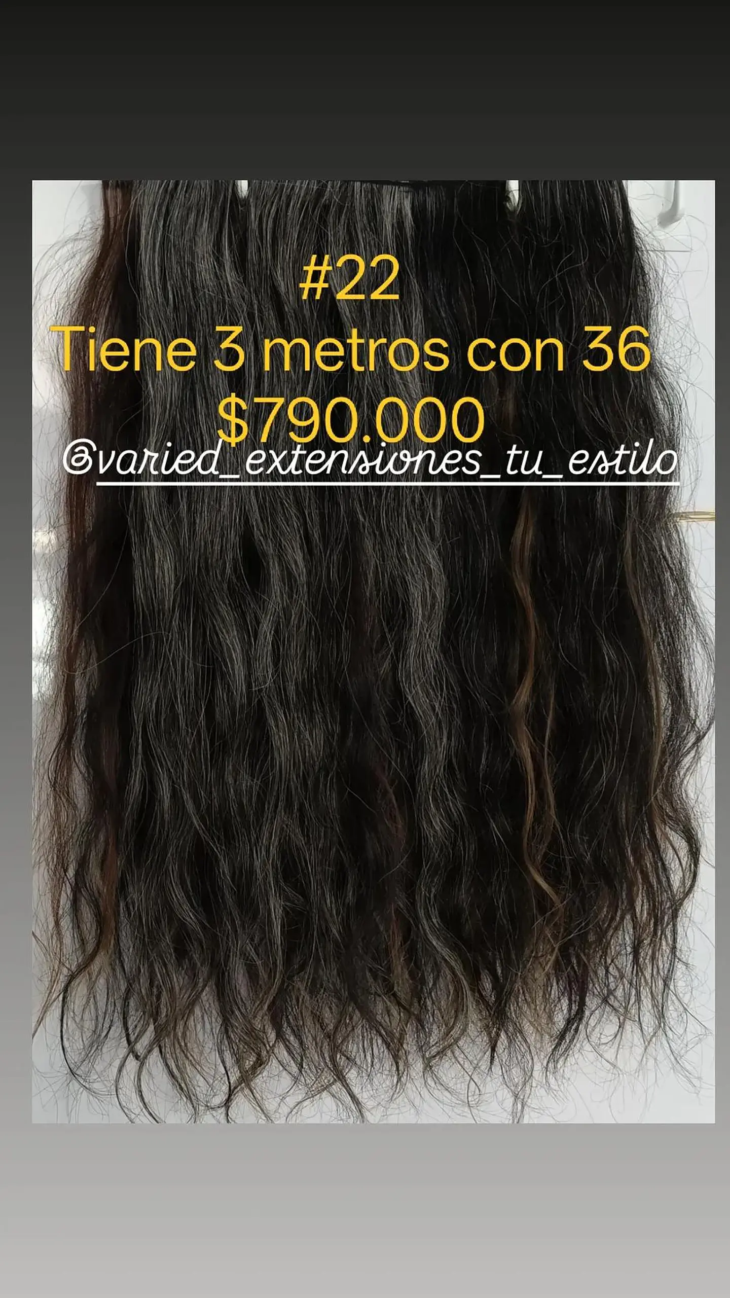 Extensión #22 1