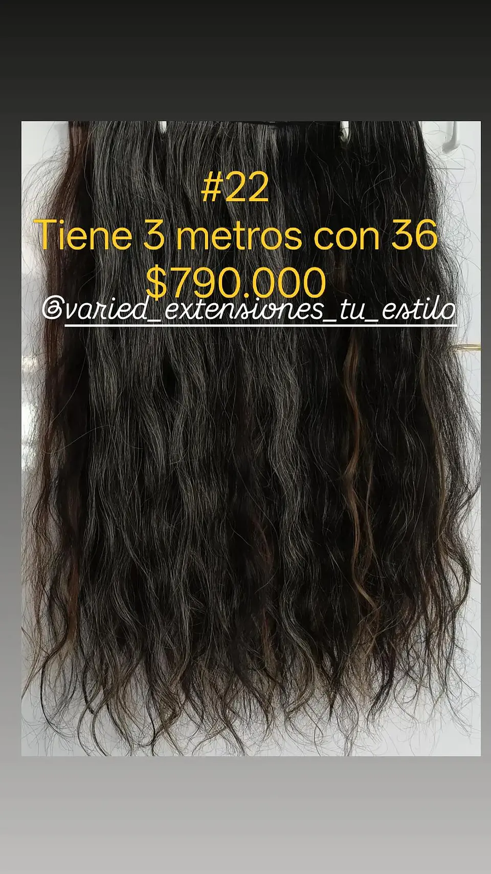 Extensión #22 1