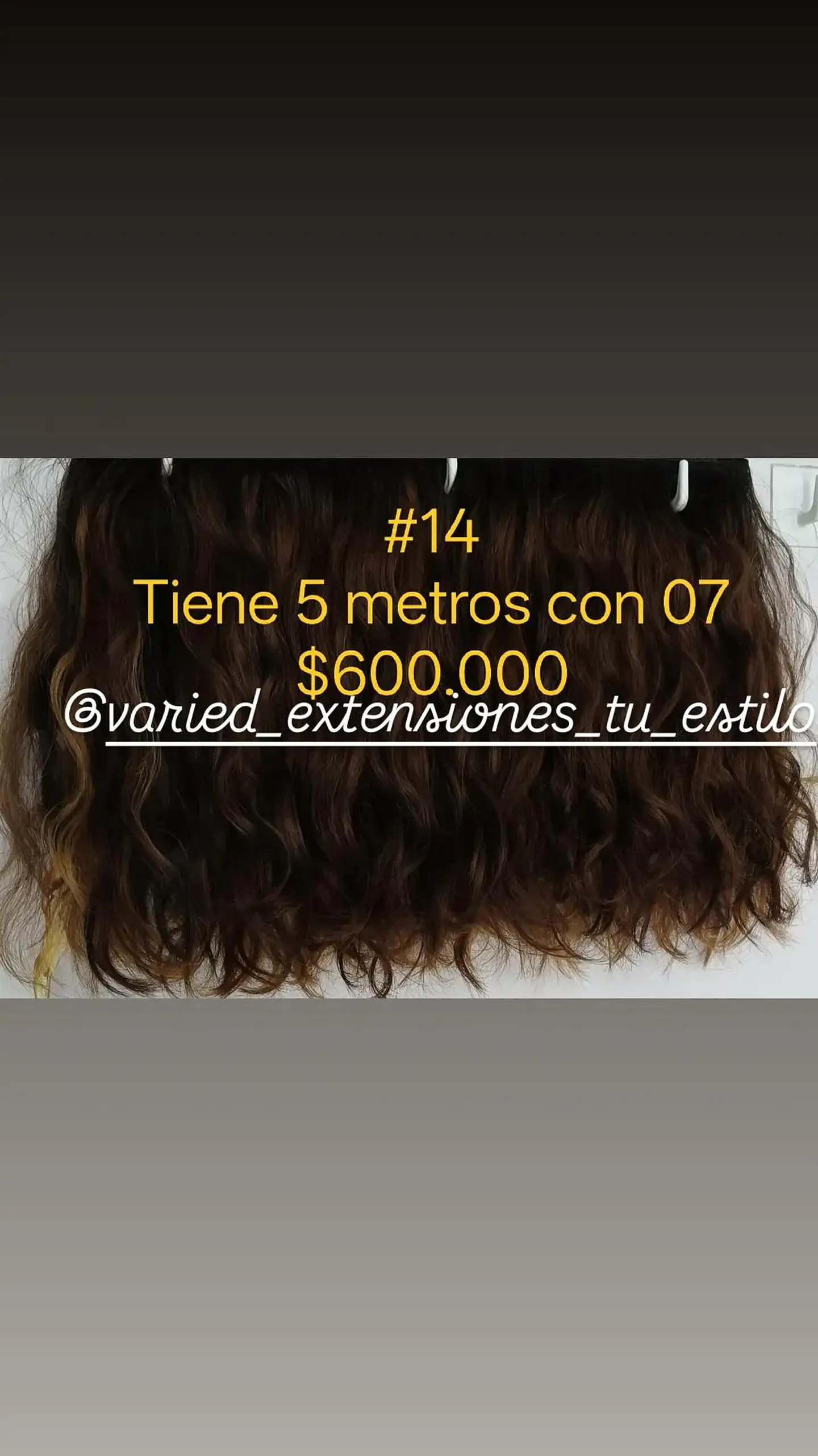 Extensión #14 1